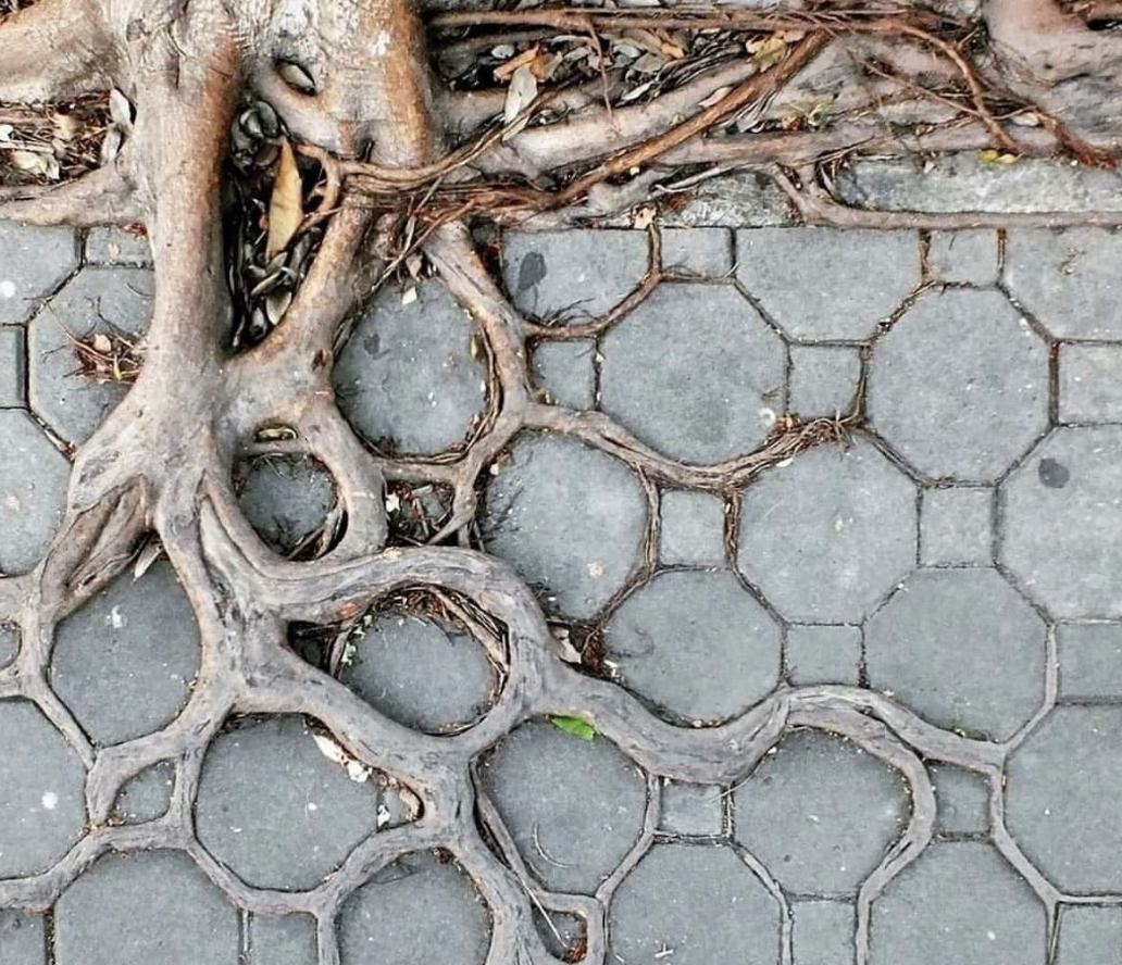 Emotional Literacy Is Not Emotional Maturity