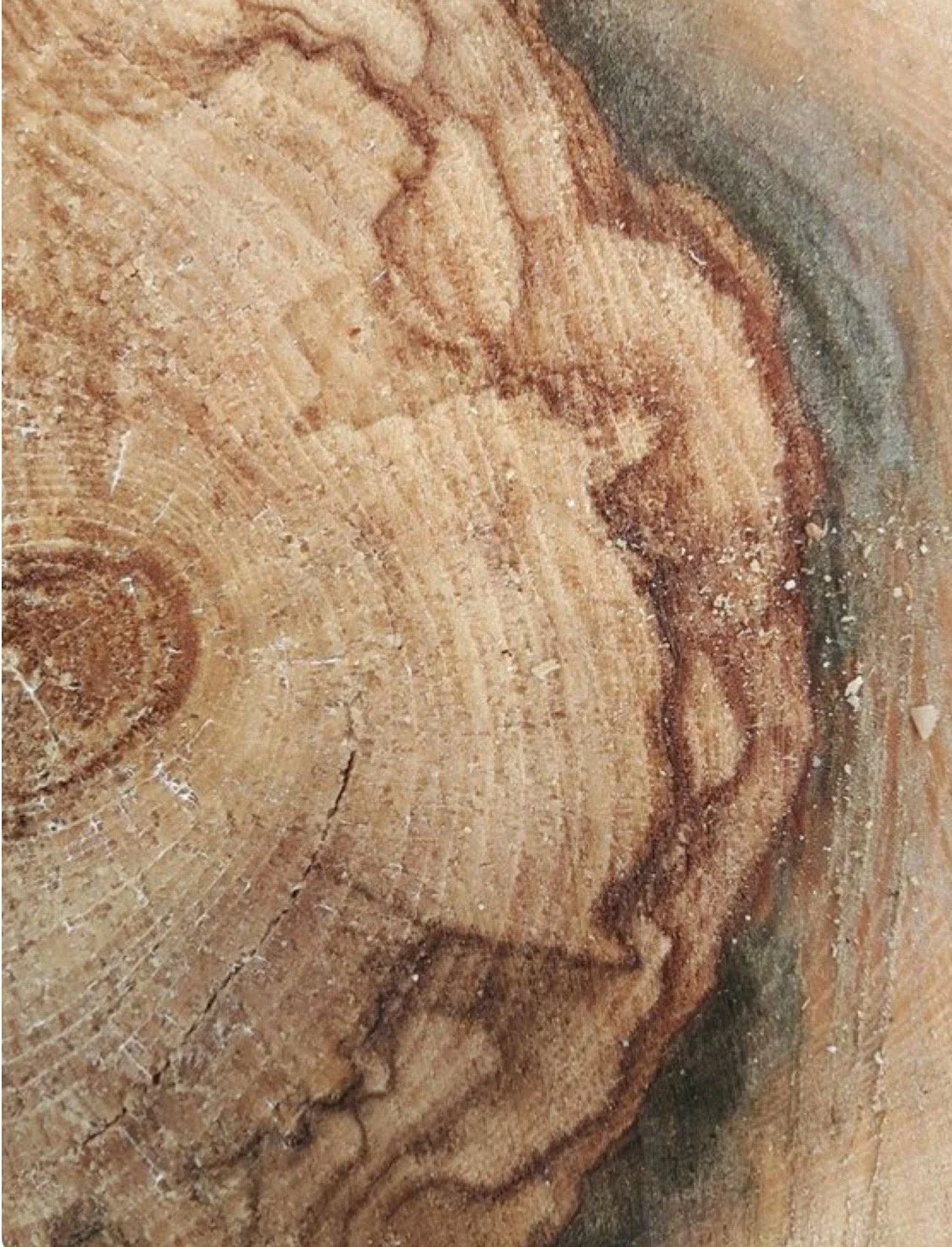 Close-up of a wooden surface with an engraved or natural pattern resembling a human face in profile.