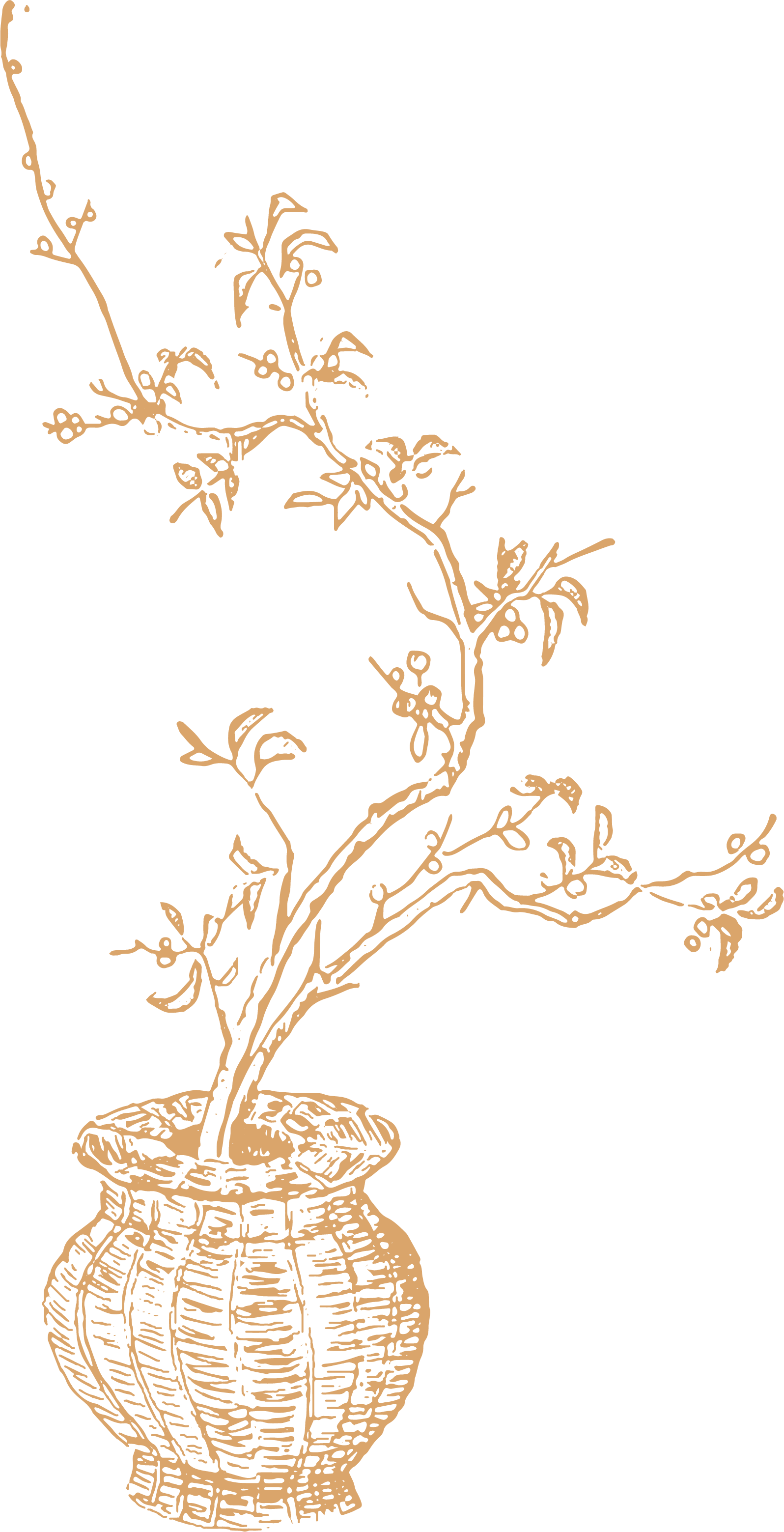 Illustration of branches arranged in a vase.