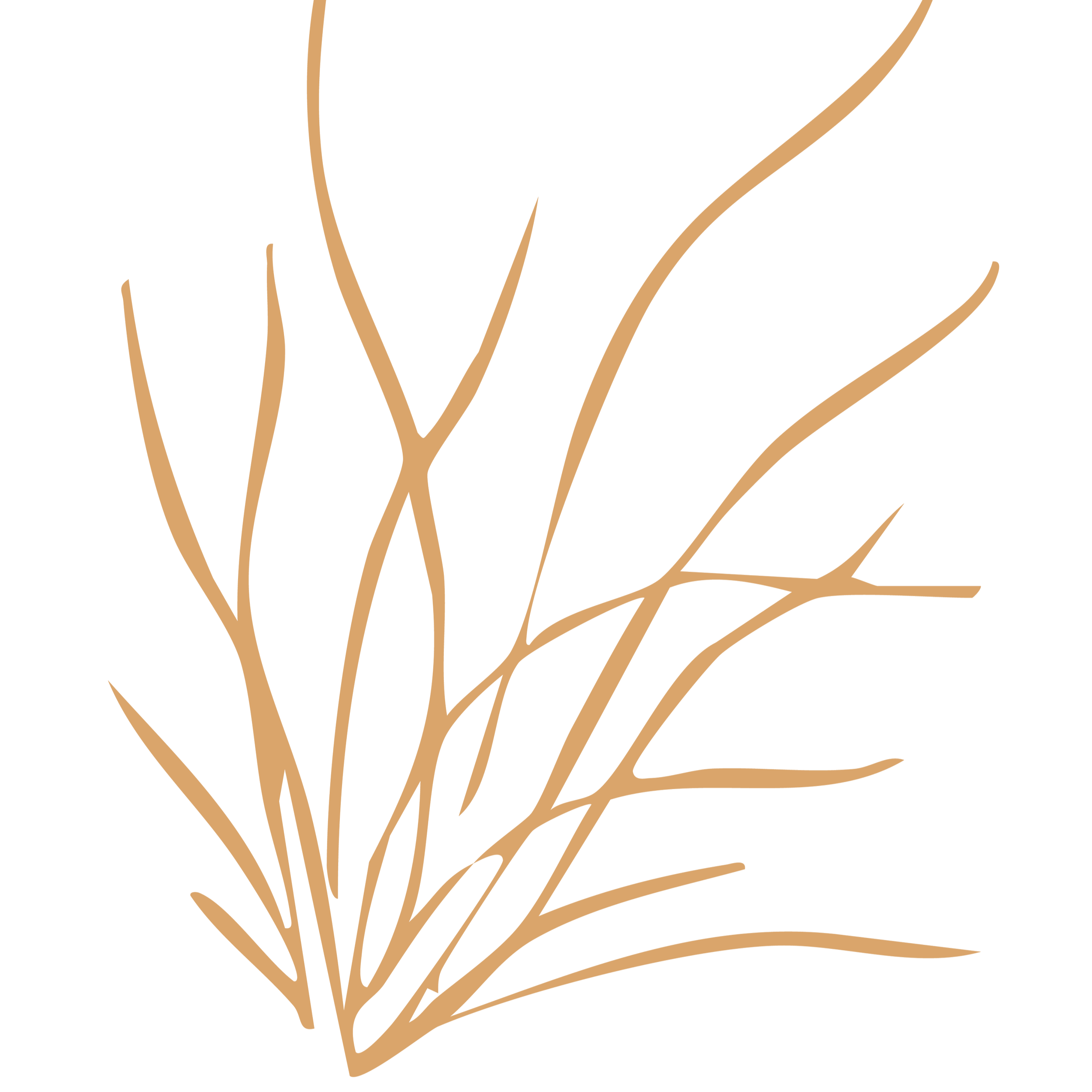 Outline of a dried plant with thin, branching stems on a black background.