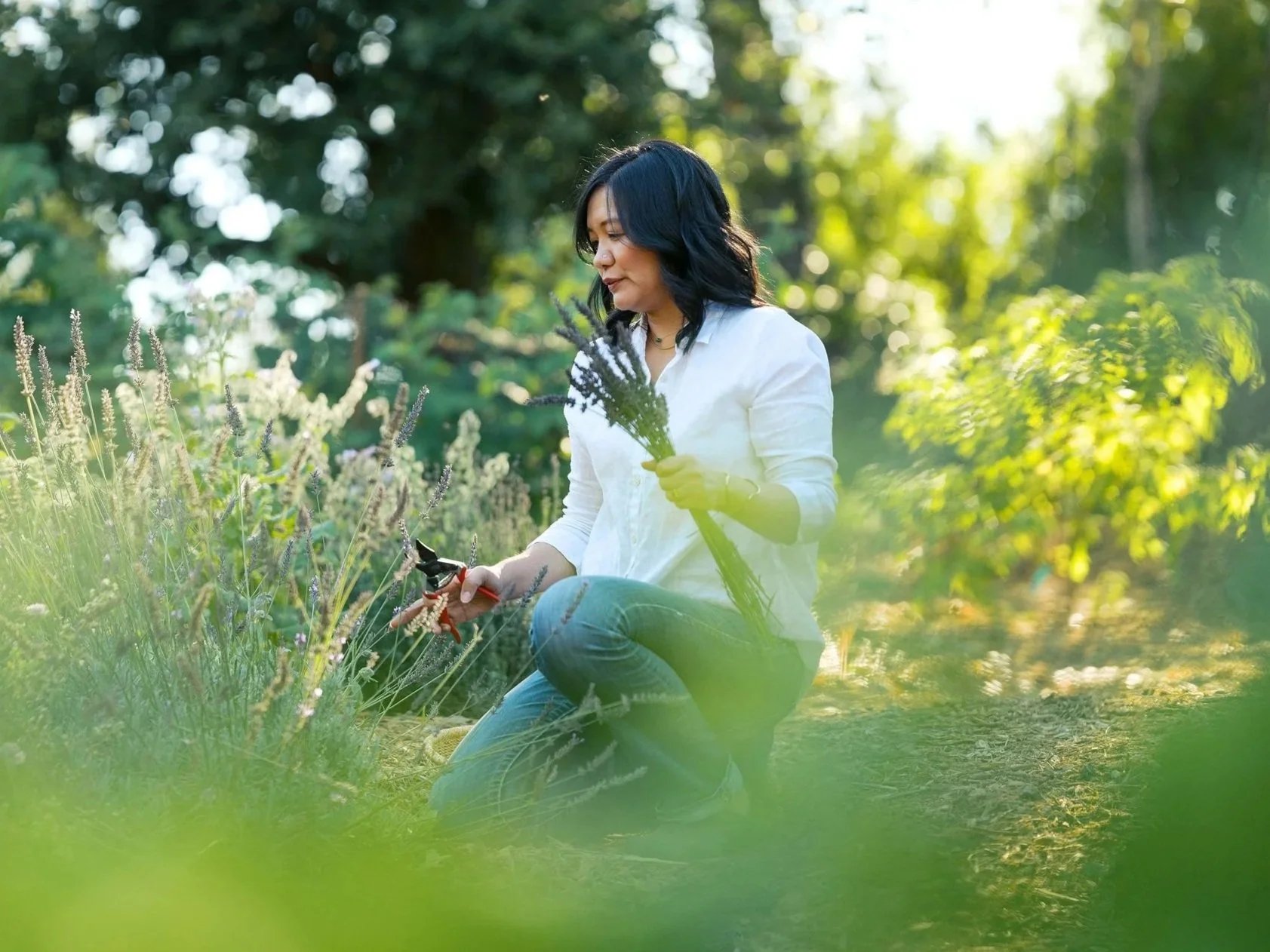 Energy healer practicing intuition medicine while sitting in a sunlit field surrounded by nature.
