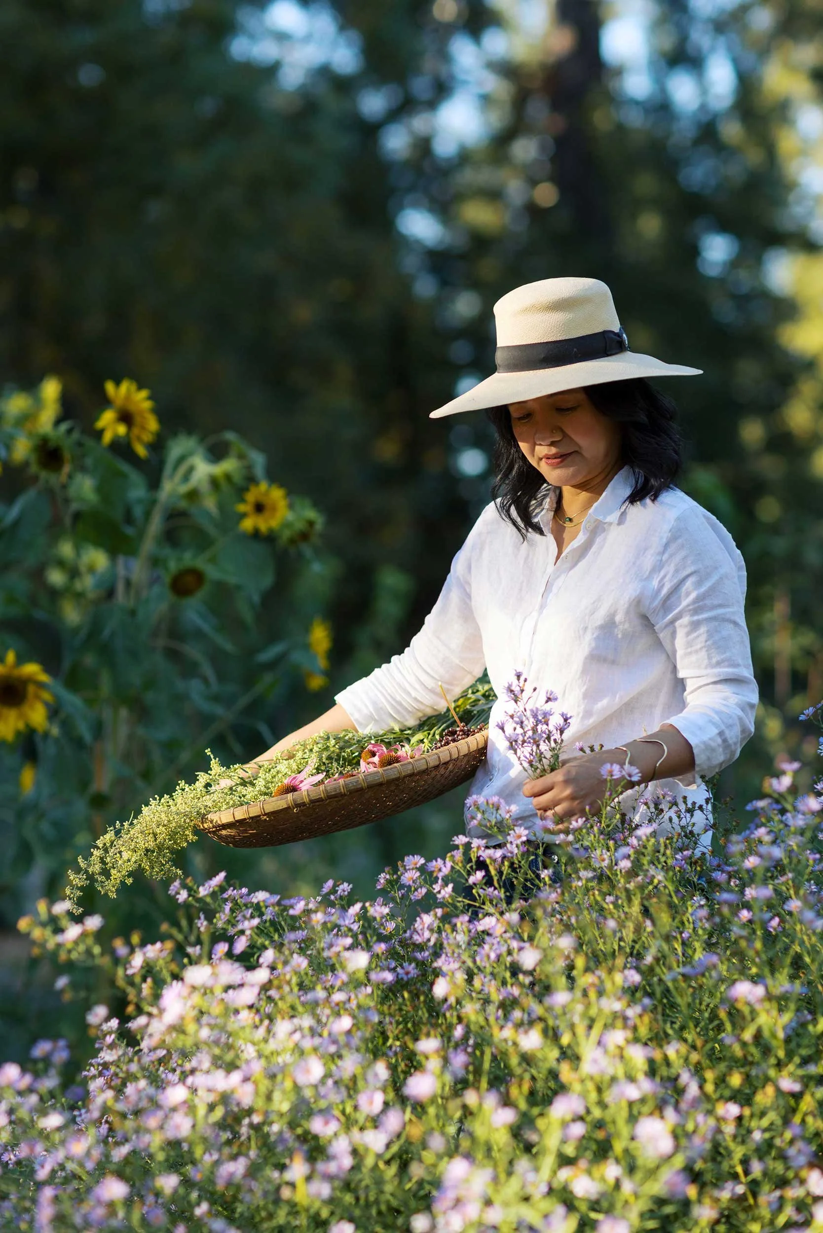 Woman harvesting plants in a flower field representing herbal apothecary work and intuitive healing in nature.