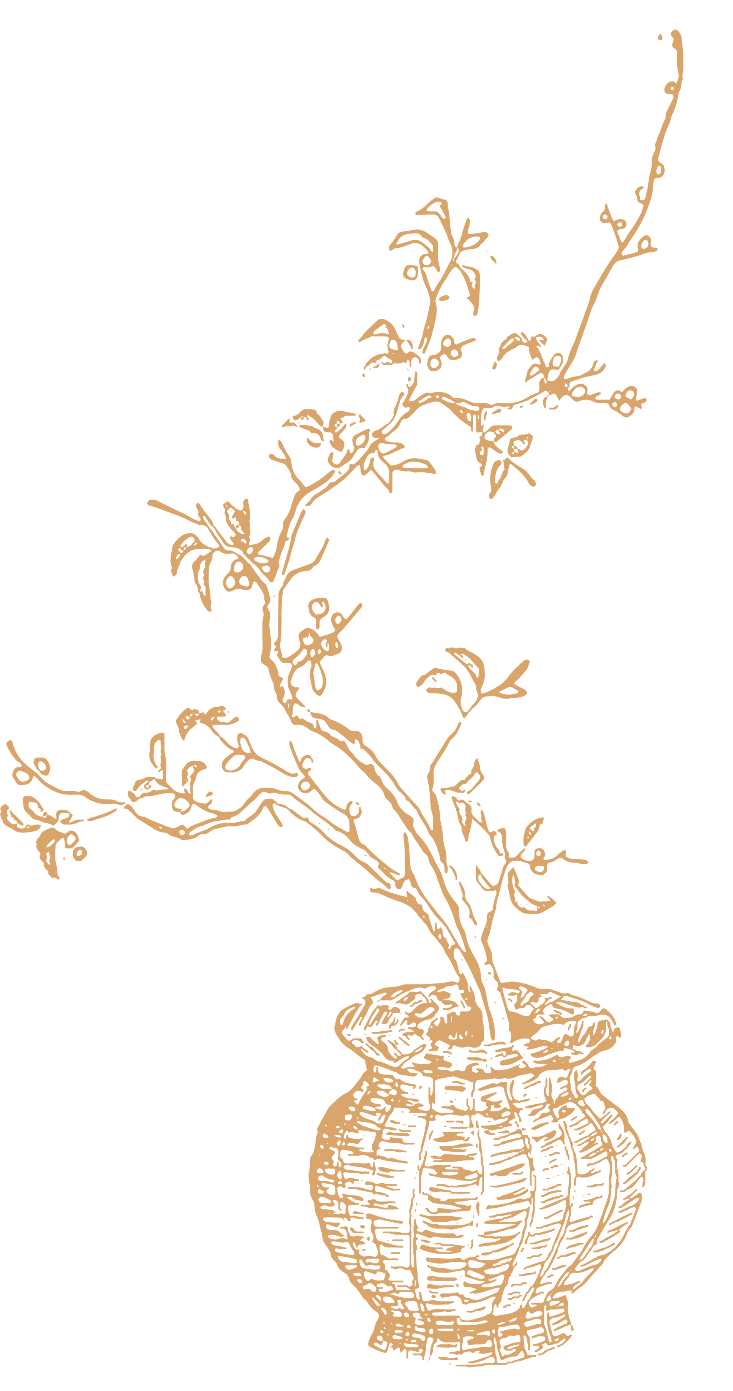 Branch Arrangement Illustration