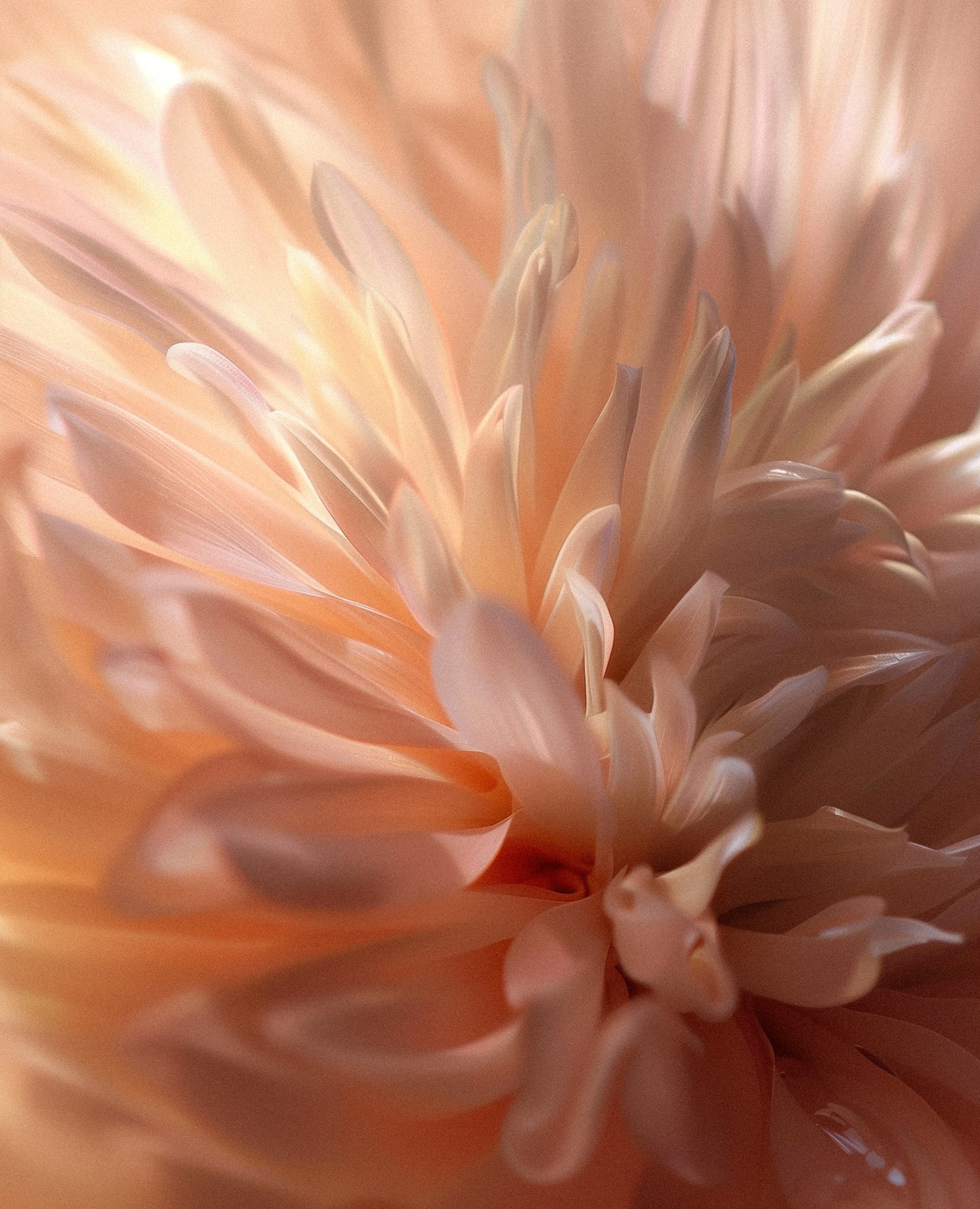 Holistic energy healing and intuition medicine services at Birdsong Apothecary.