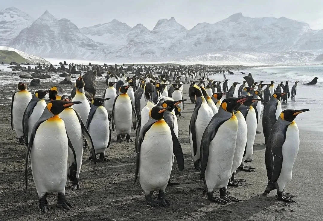 469560932_18473600482004495_8582634611248015629_n 2.jpg