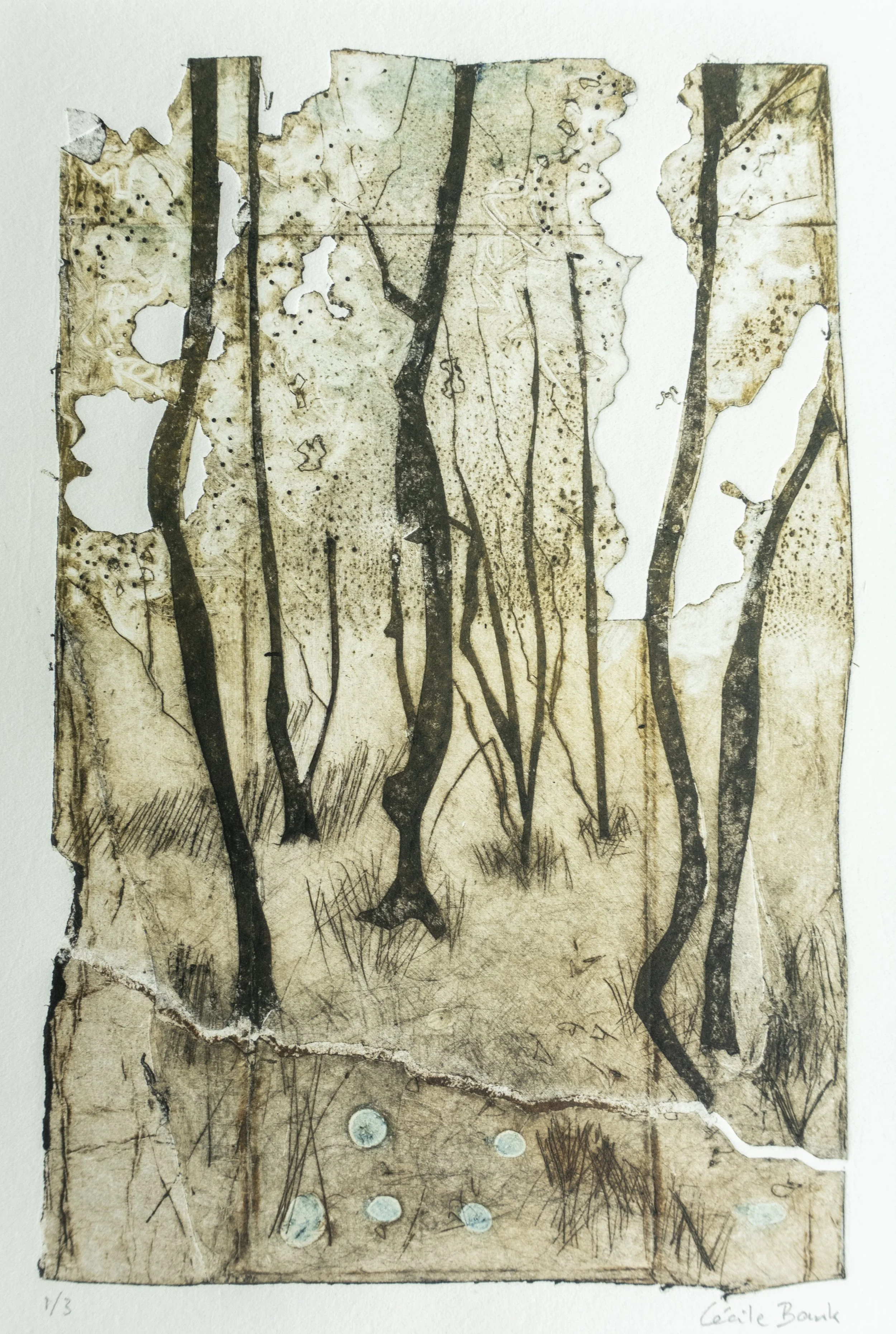 Cecile_golden_landscape.JPG