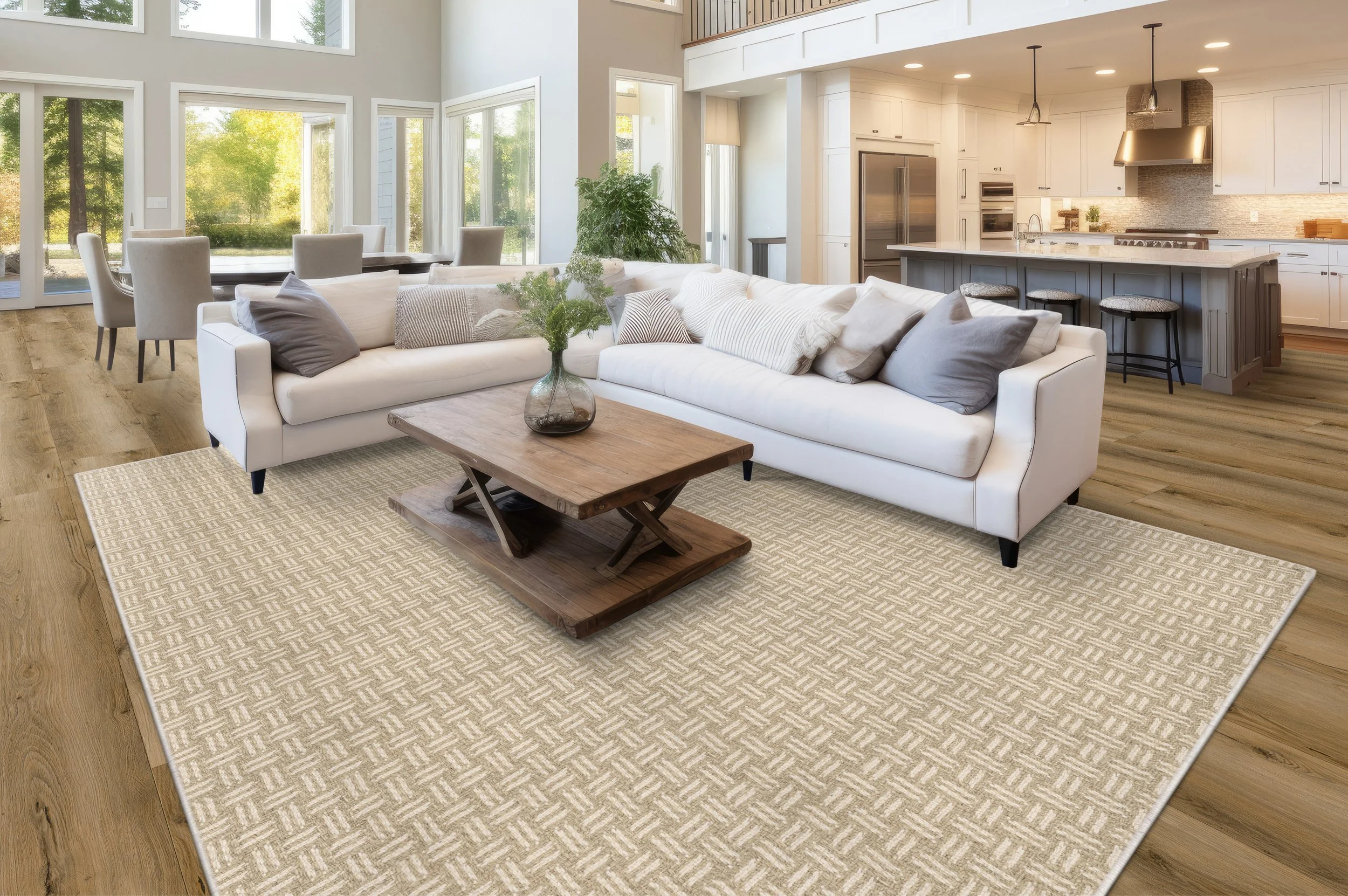 Loma Plaster RUG.jpg