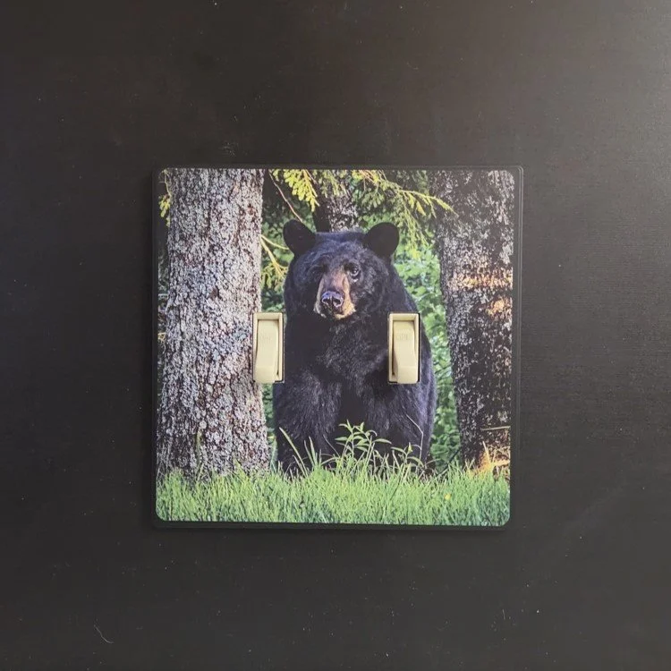 Buddy Bear.jpg