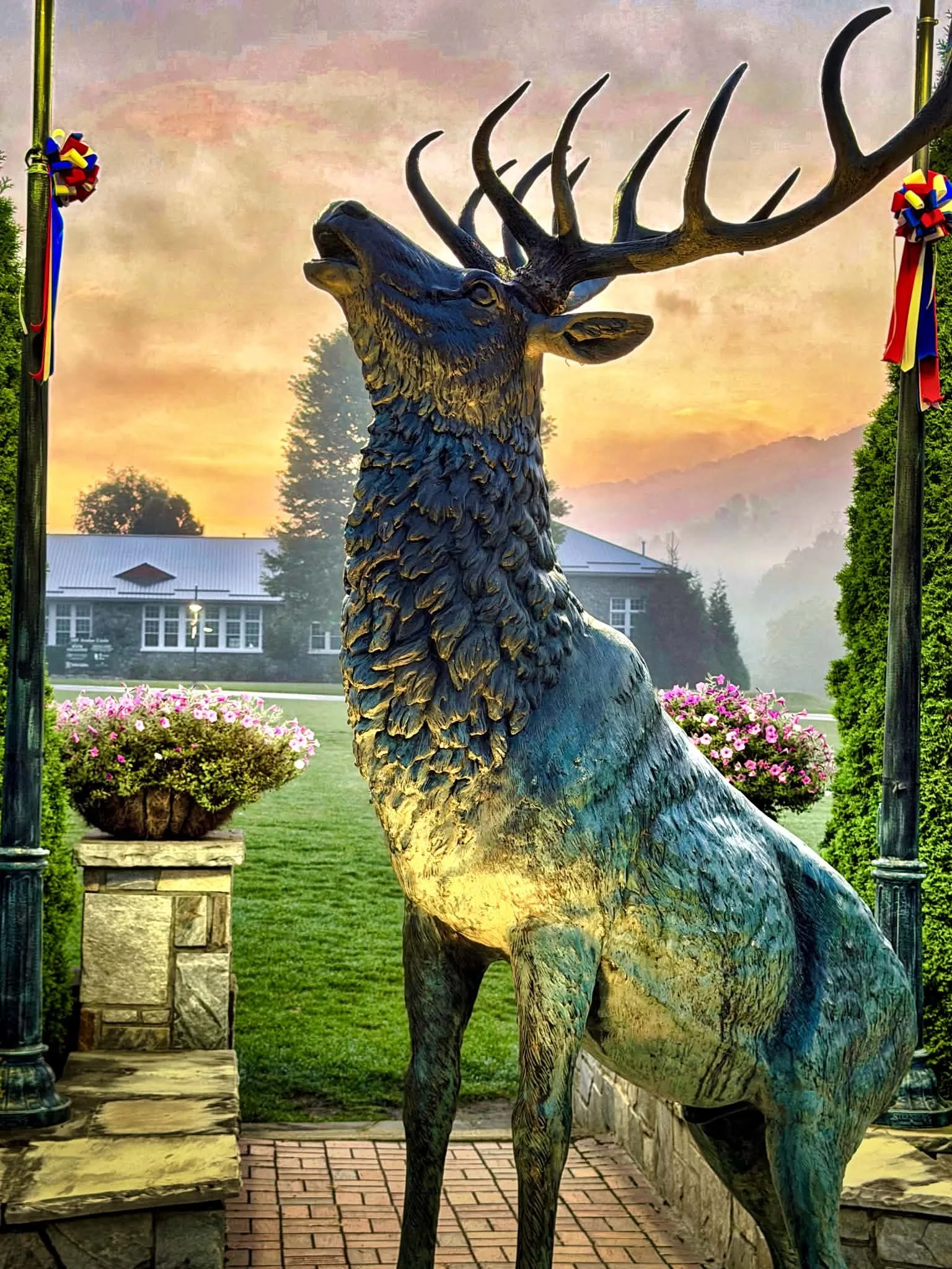 Nitti - Banner Elk