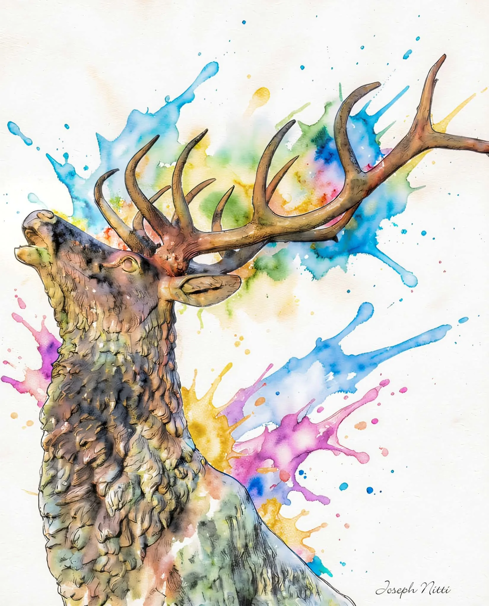 Nitti - Banner Elk Delight