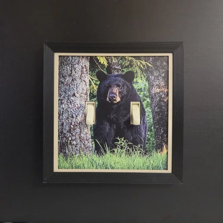 Buddy Bear2.jpg