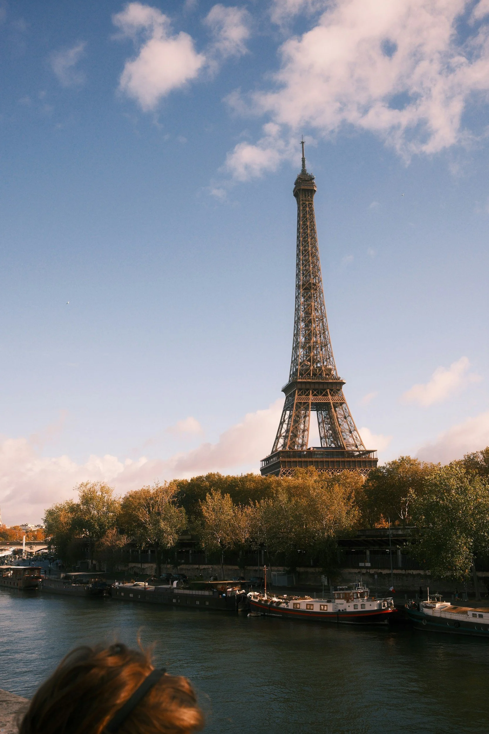 Language Is More Than Words: Why Culture Makes French Stick
