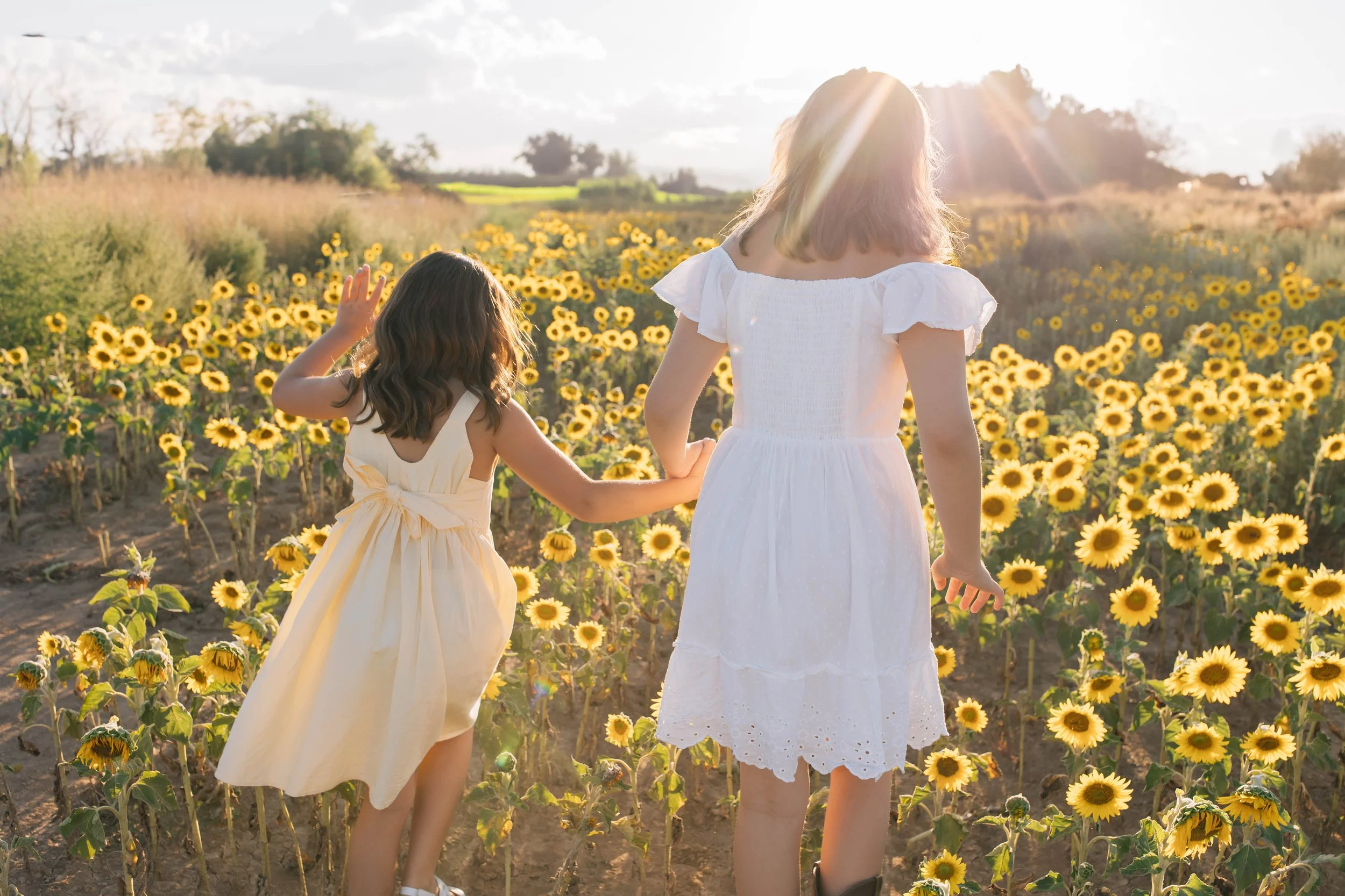 Two young girls in white dresses walking through a sunflower field at sunset.