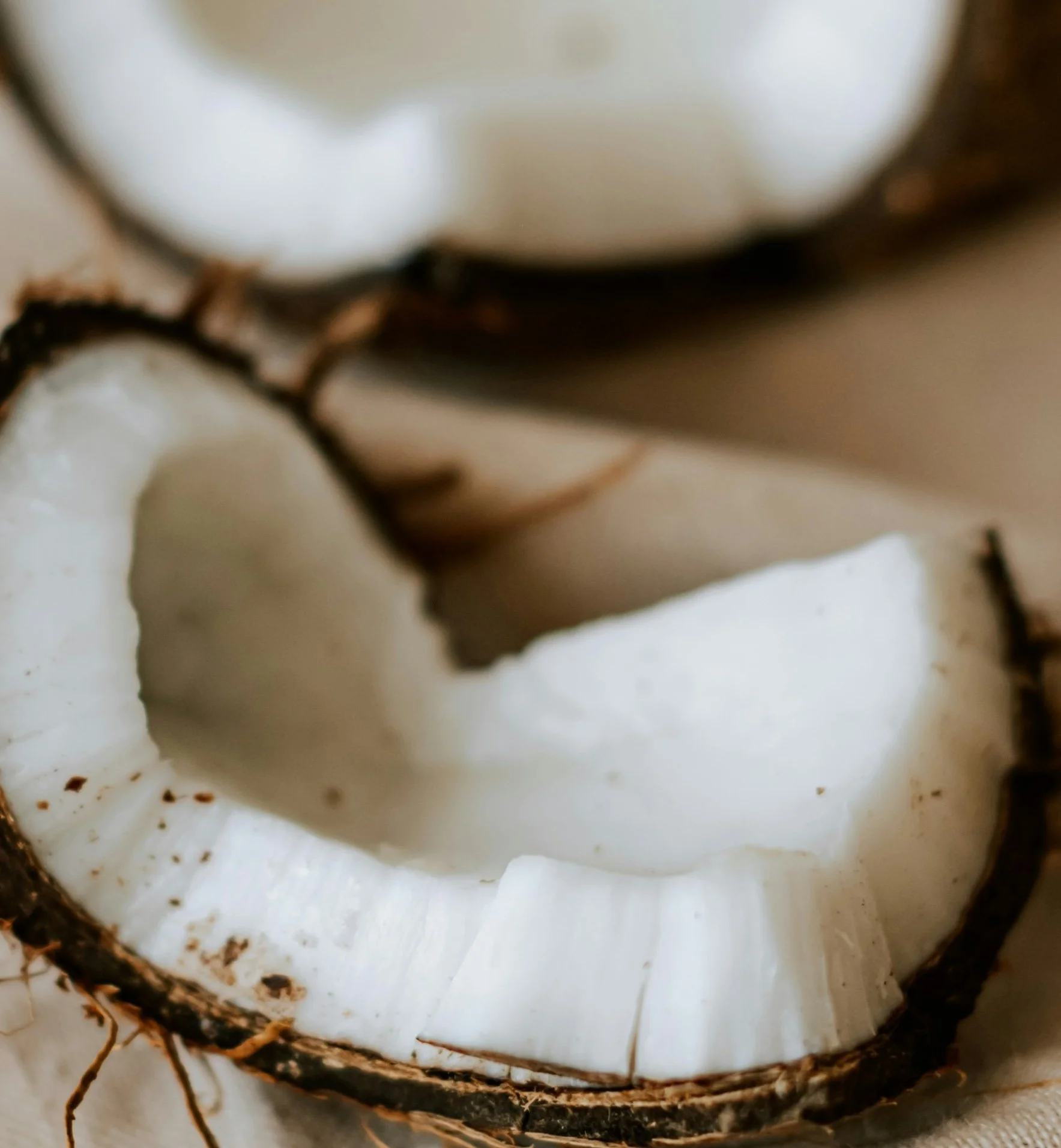 Close-up of a cut coconut showing white flesh inside a rough brown shell.
