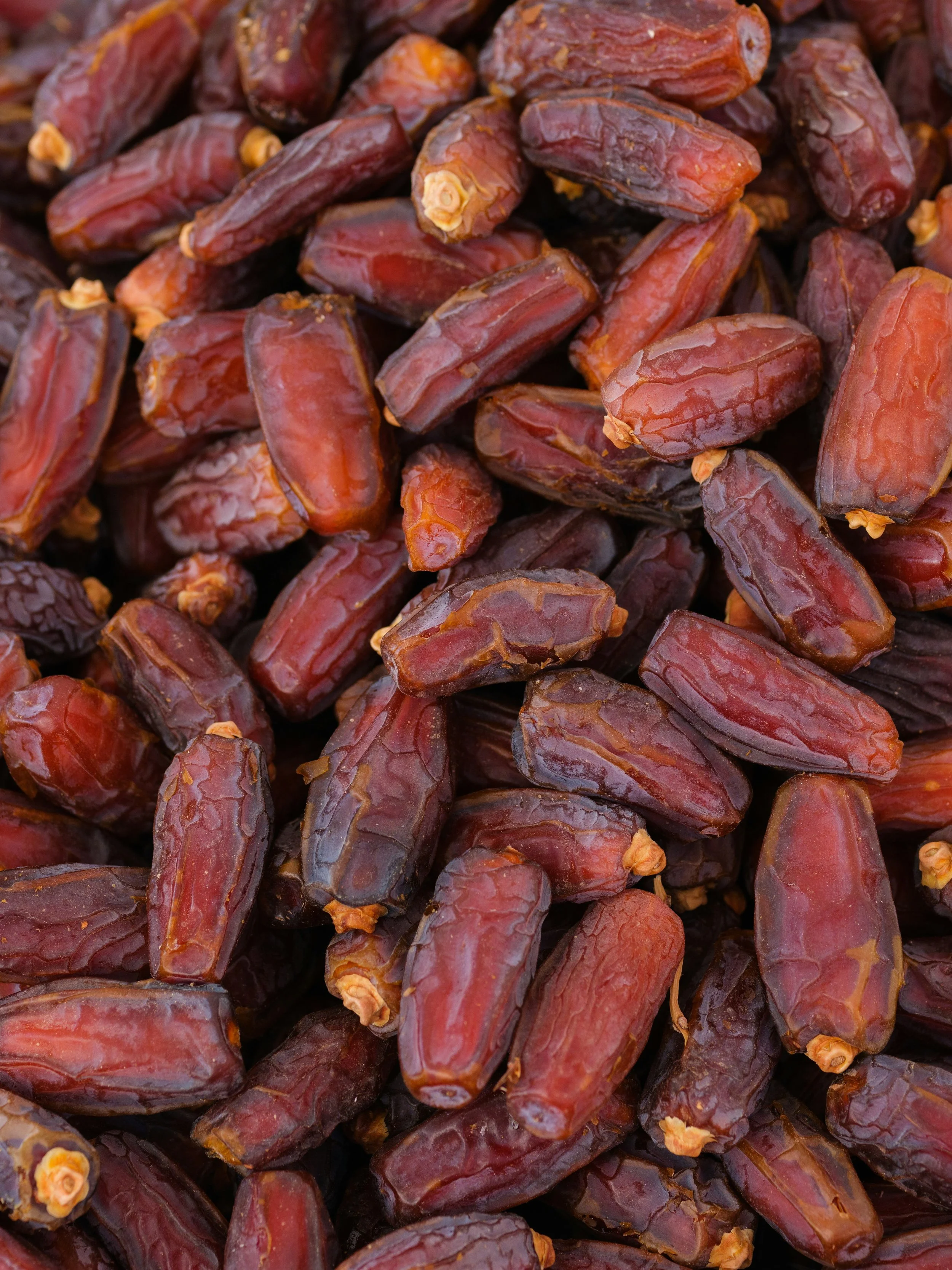 Close-up of a pile of dried Medjool dates.