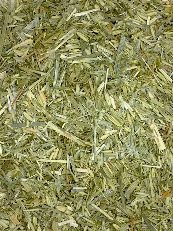 Close-up of a pile of dried straw or hay.