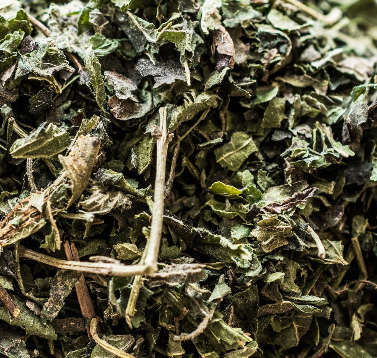 Nettle Herbs