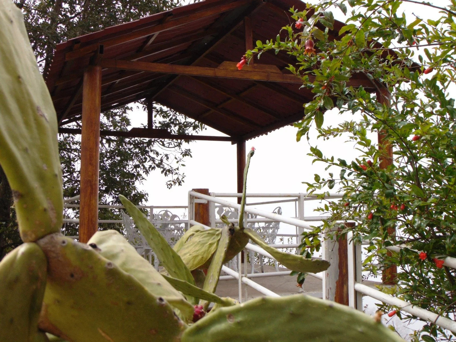 Mirador
