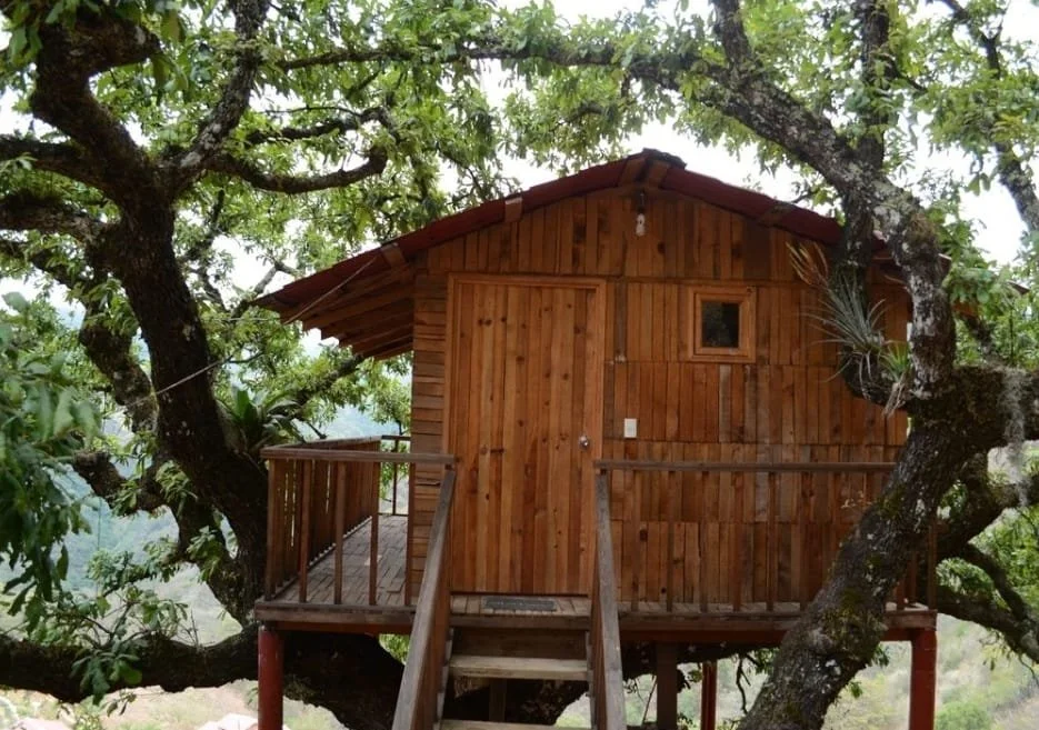 CABAÑA DEL ÁRBOL