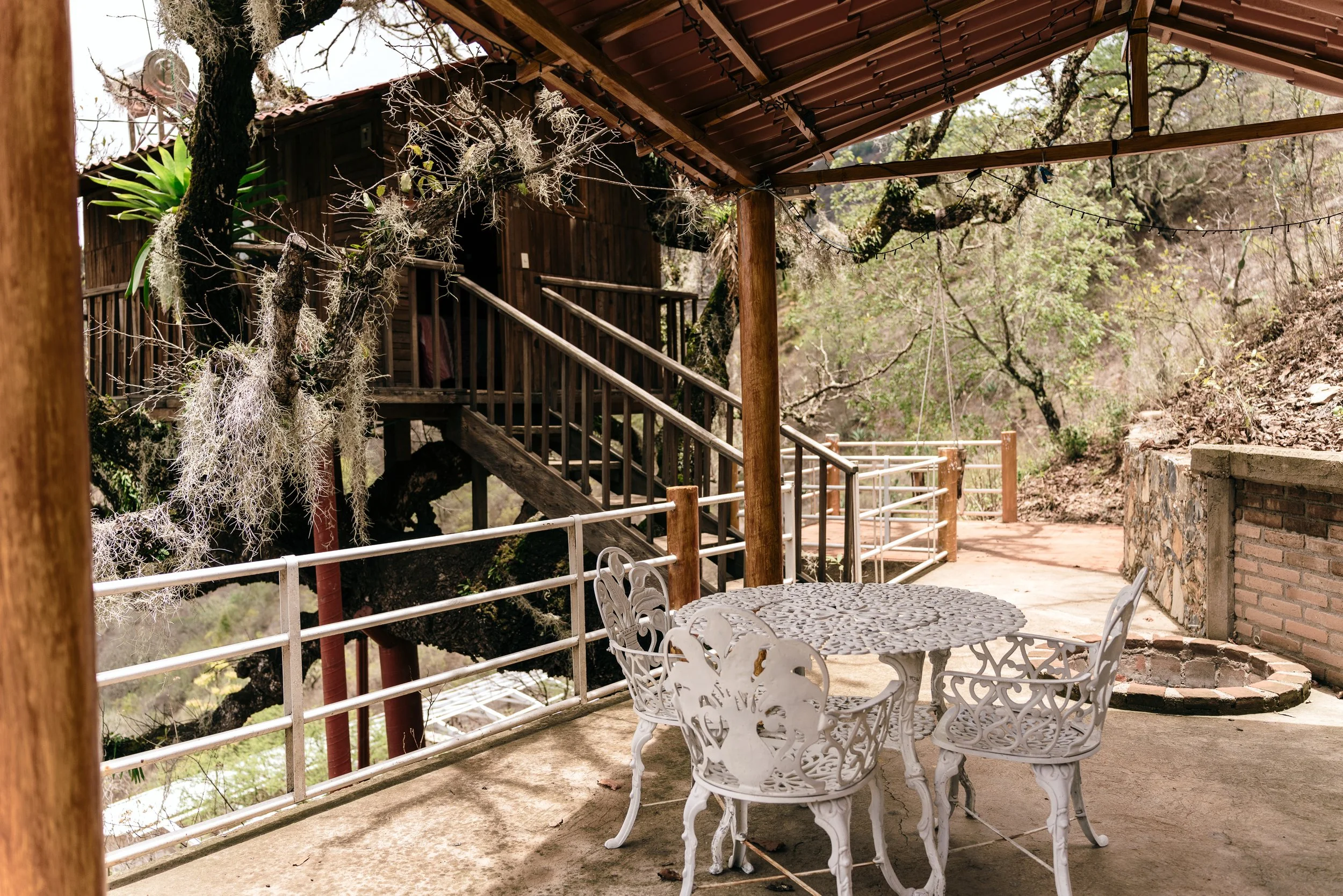 Palapa