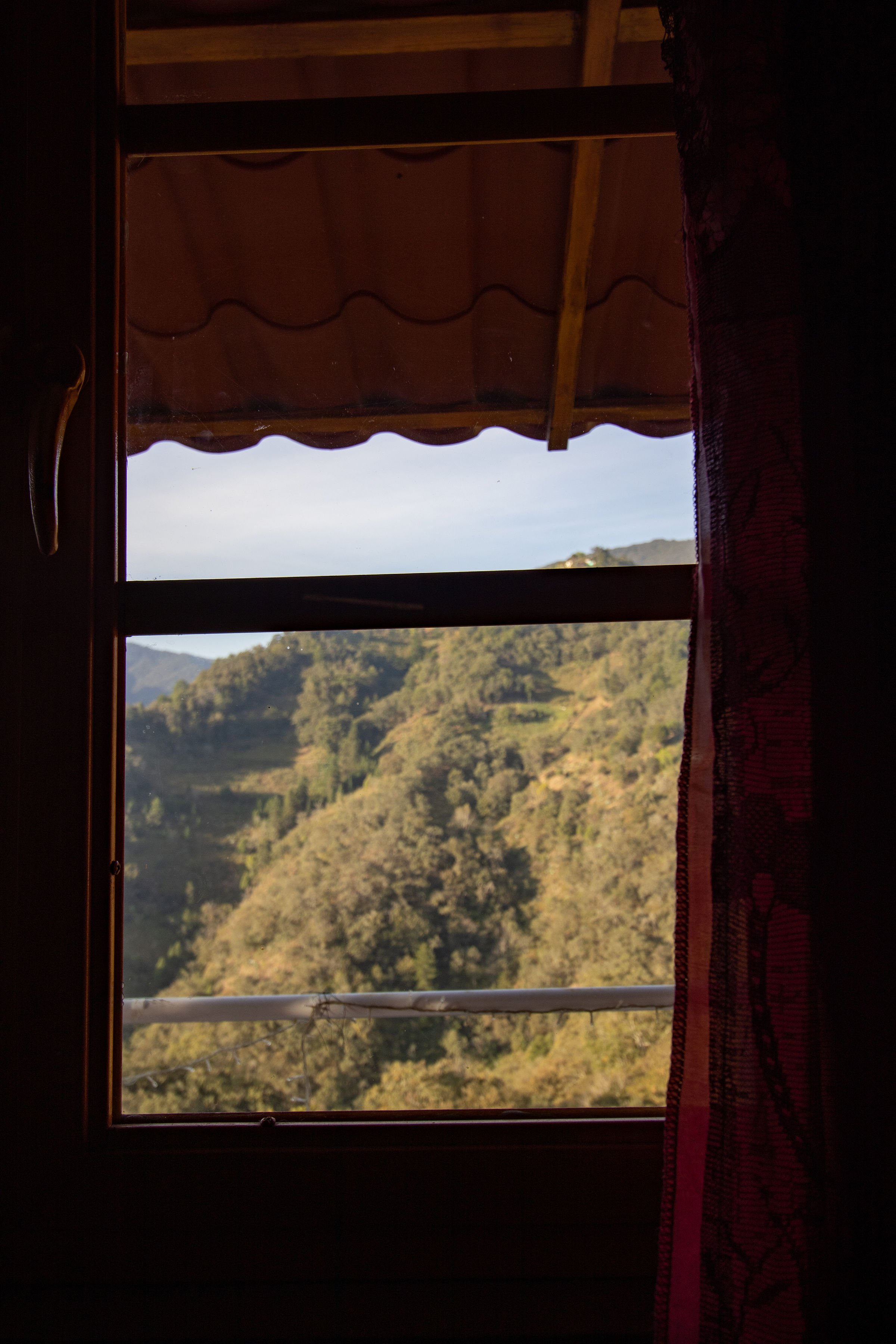 Vista desde la habitación