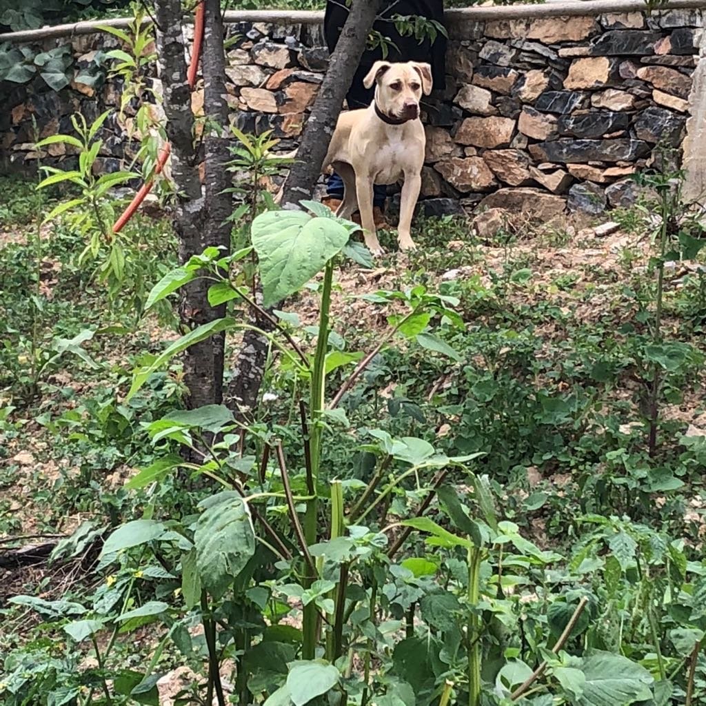 IMG-20180804-WA0016.jpg