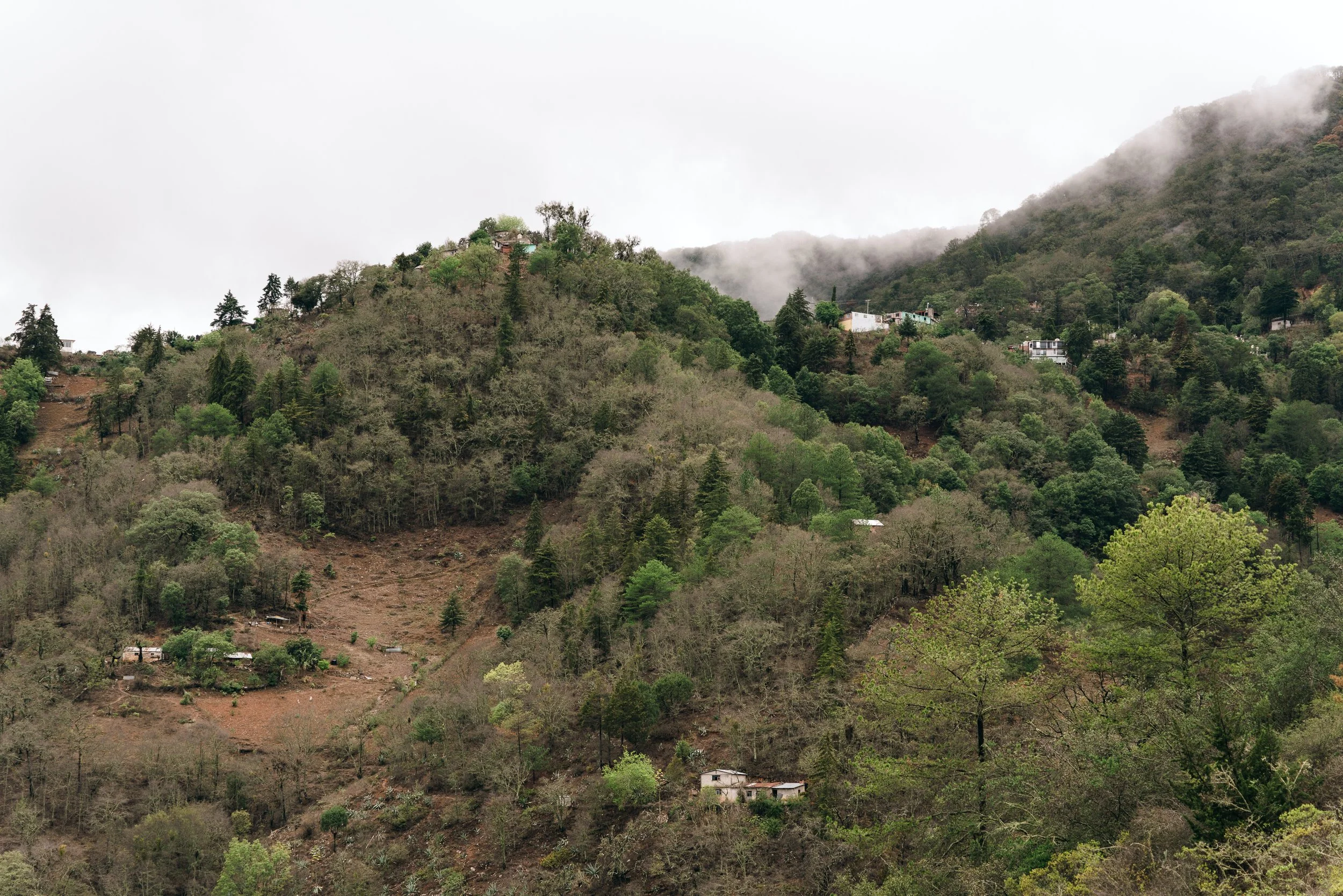 Vista desde la terraza
