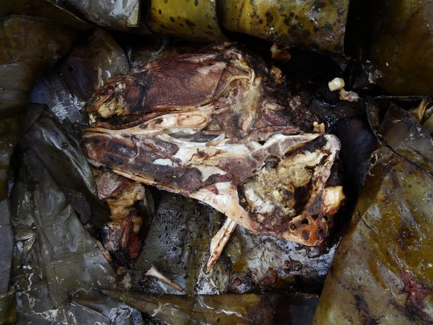 WhatsApp Image 2025-12-27 at 4.27.58 PM.jpeg