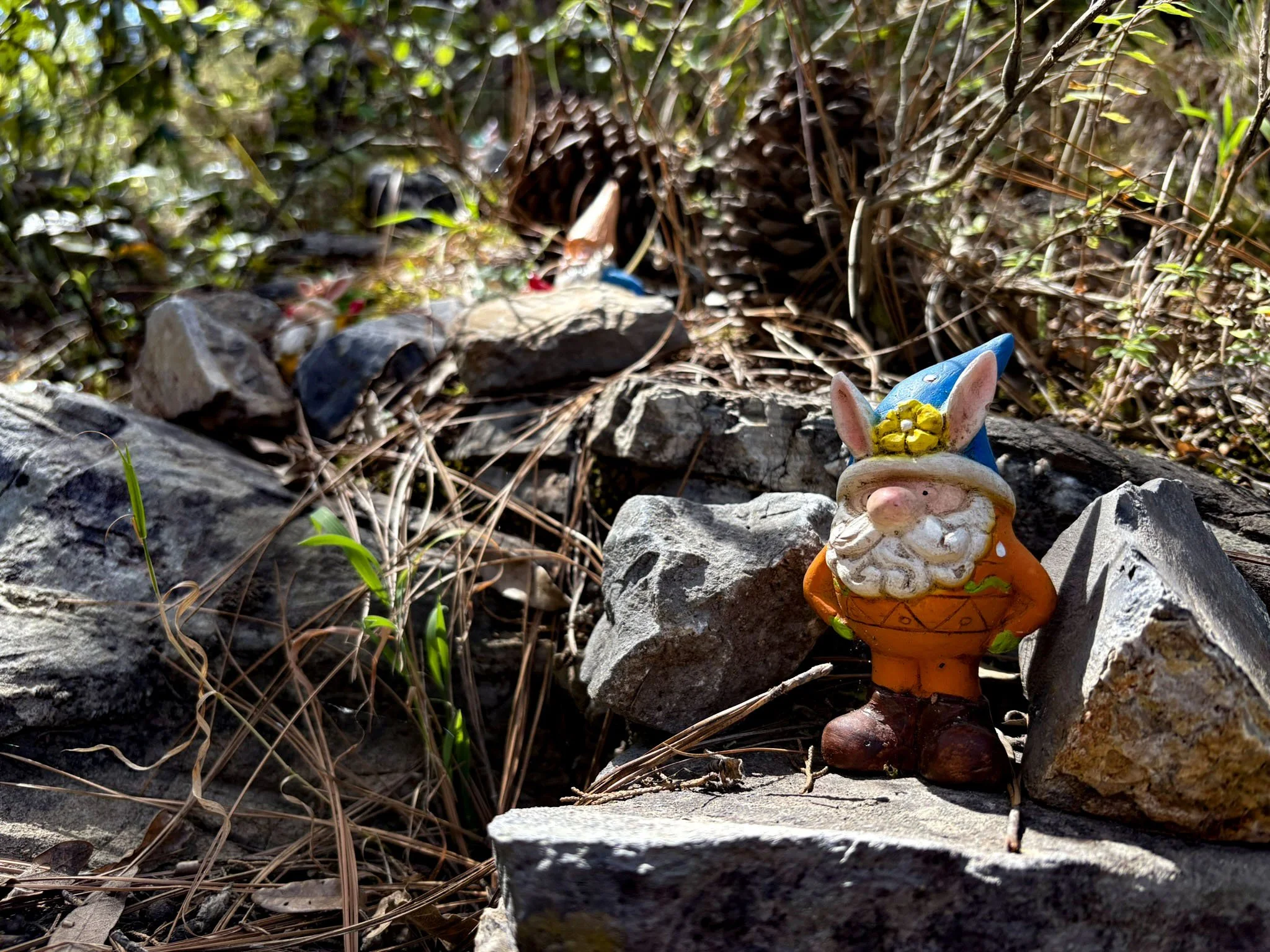 Bosque De Los Duendes