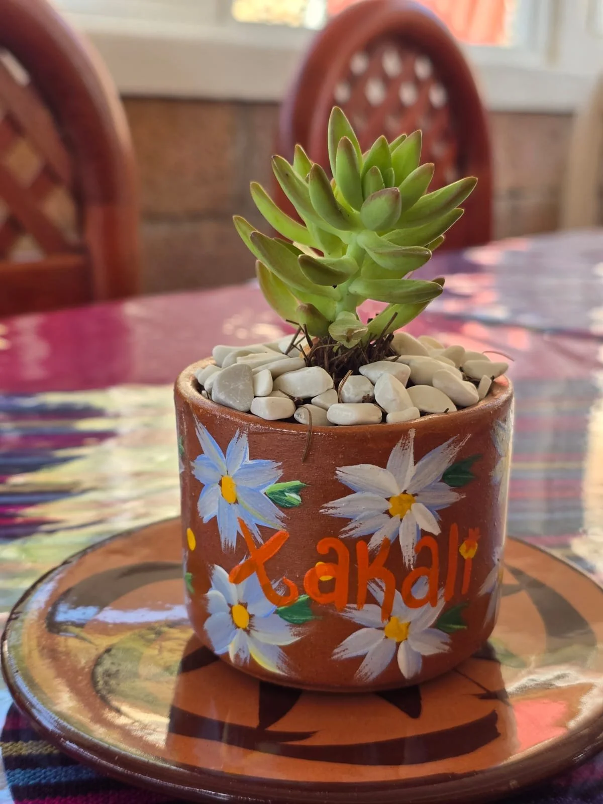 WhatsApp Image 2026-01-13 at 1.12.49 PM.jpeg