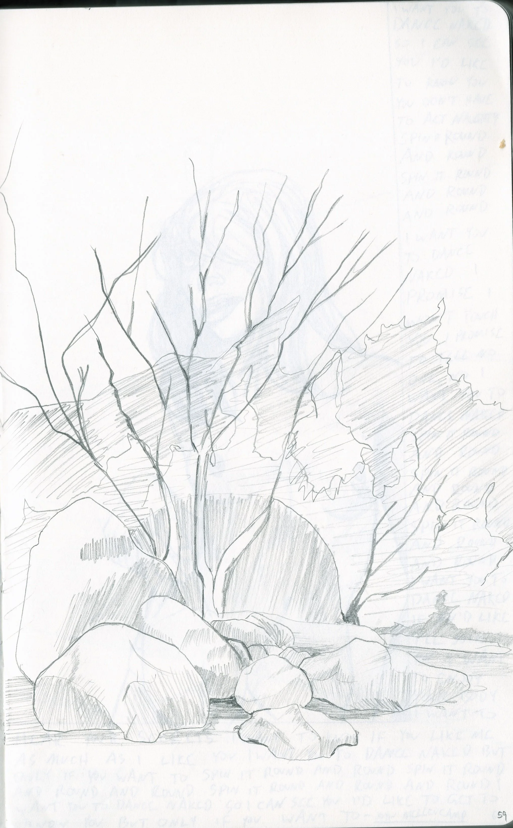 Sketchbook_1_0059.jpeg