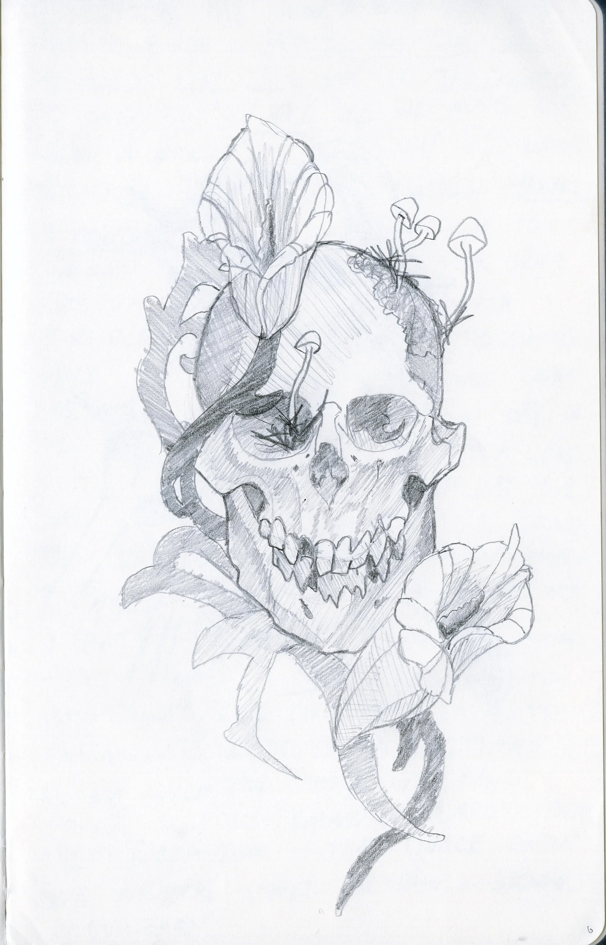 Sketchbook_1_0001.jpeg