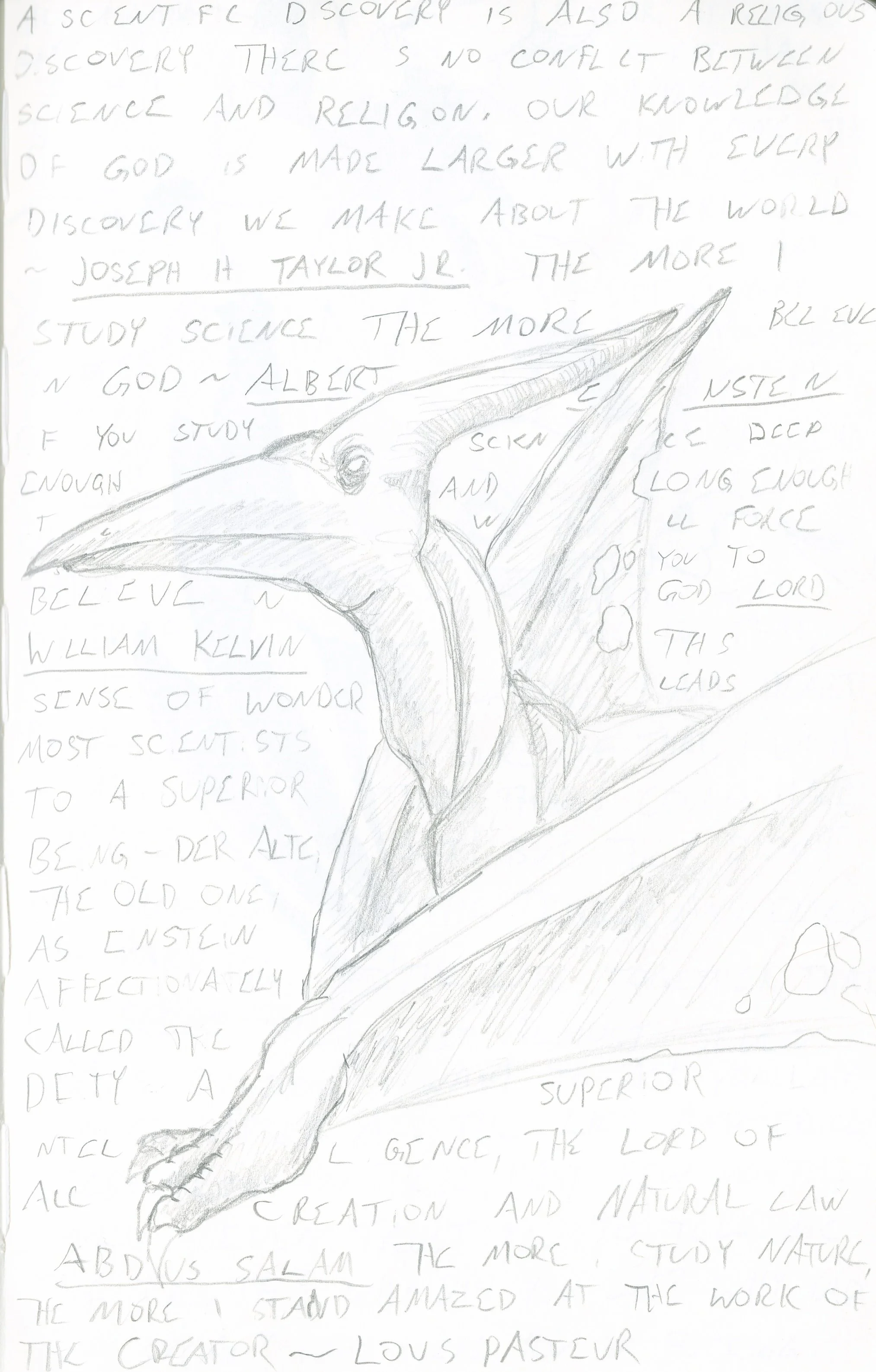 Sketchbook_1_0036.jpeg