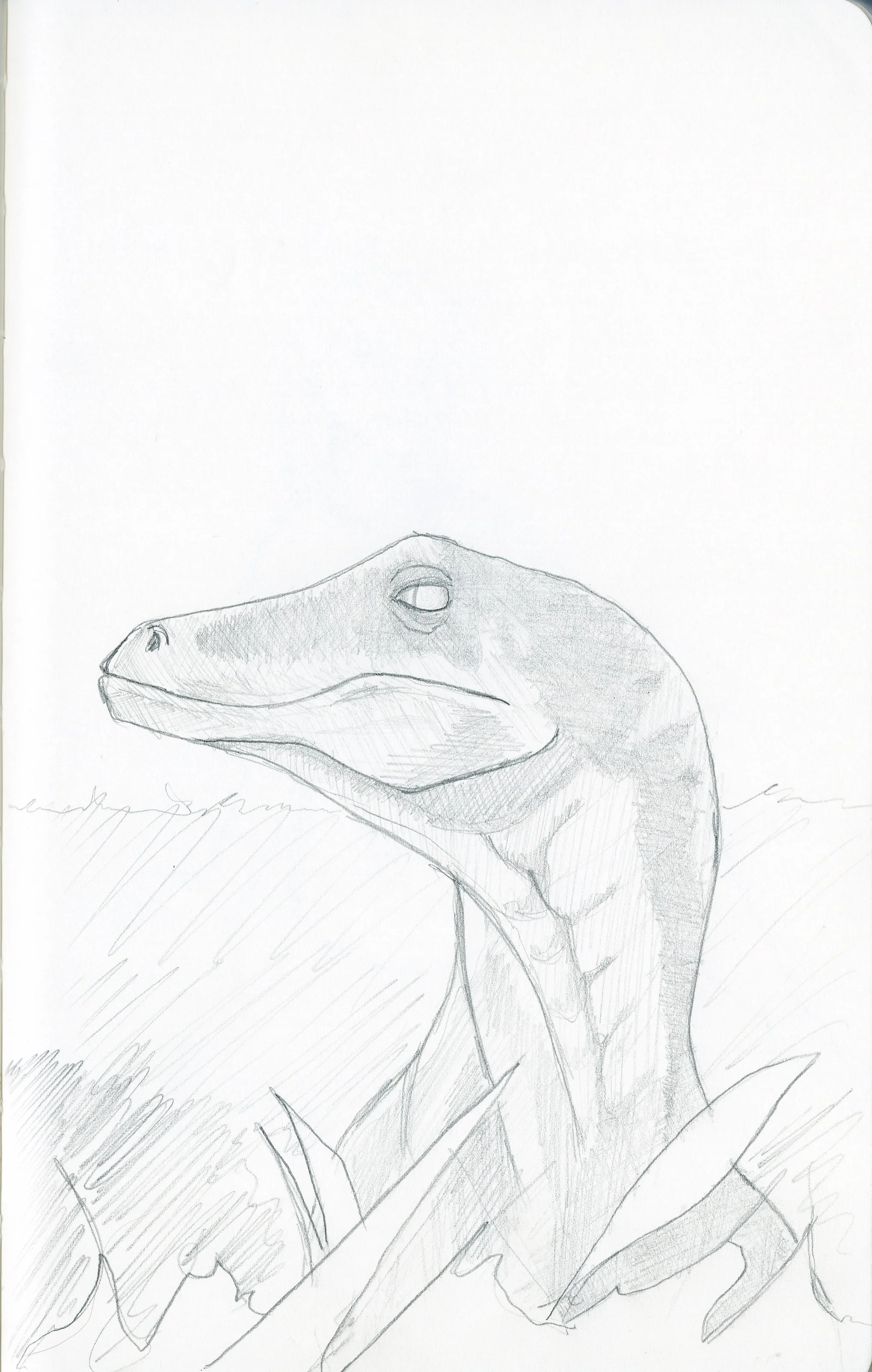 Sketchbook_1_0001_0006.jpeg