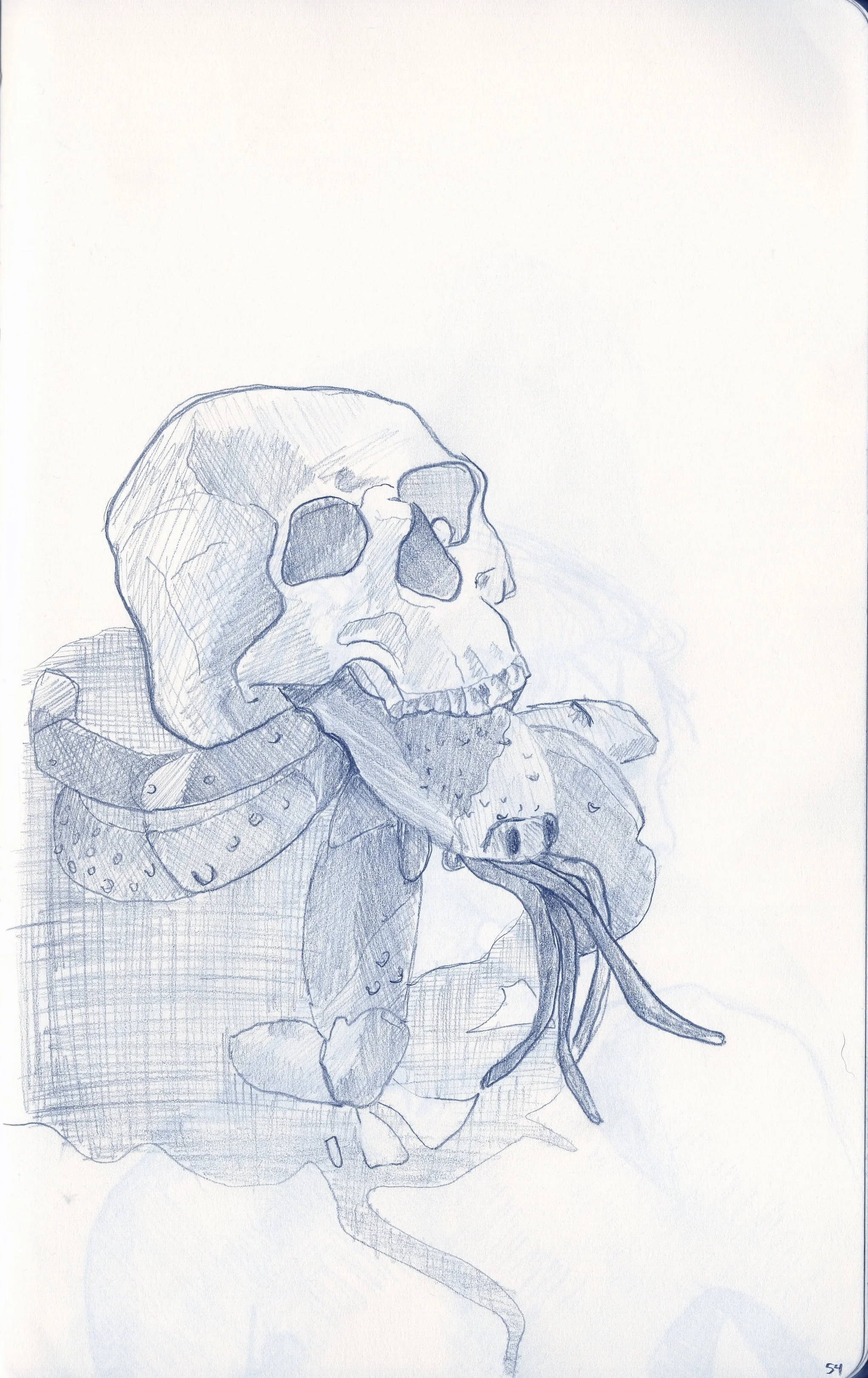 Sketchbook_1_0054.jpeg
