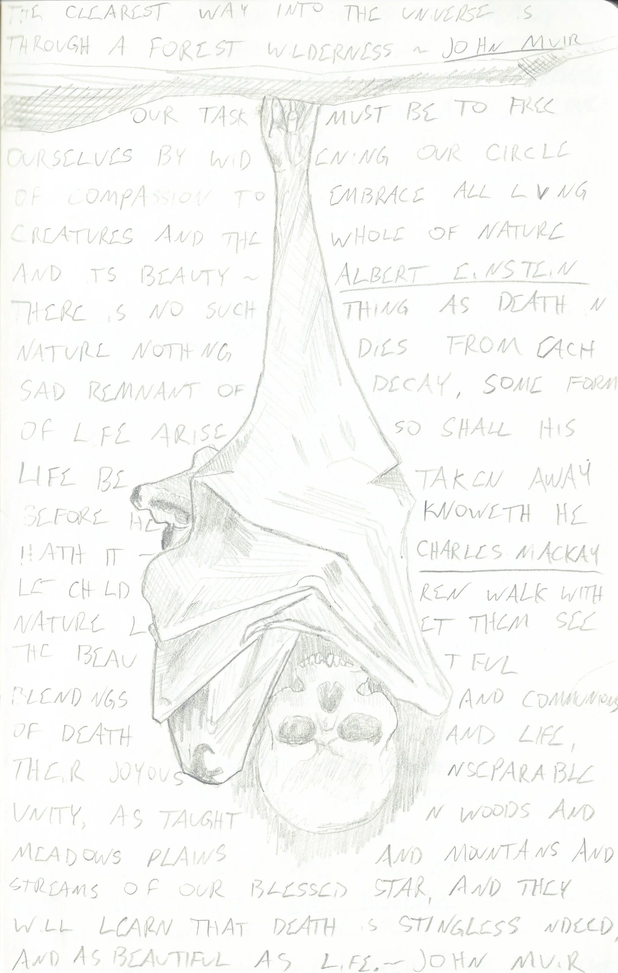 Sketchbook_1_0034.jpeg
