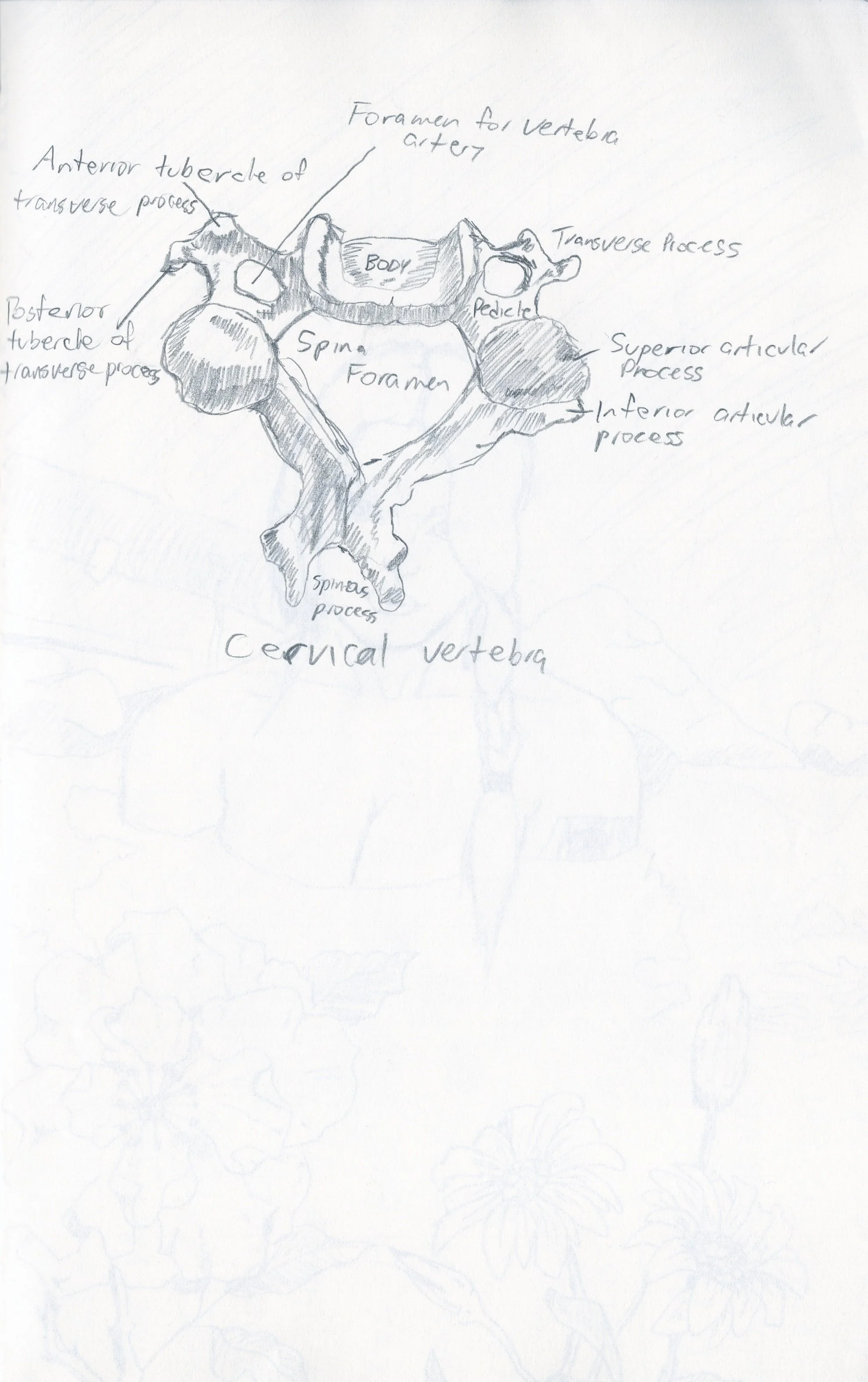 Sketchbook_1_0025.jpeg
