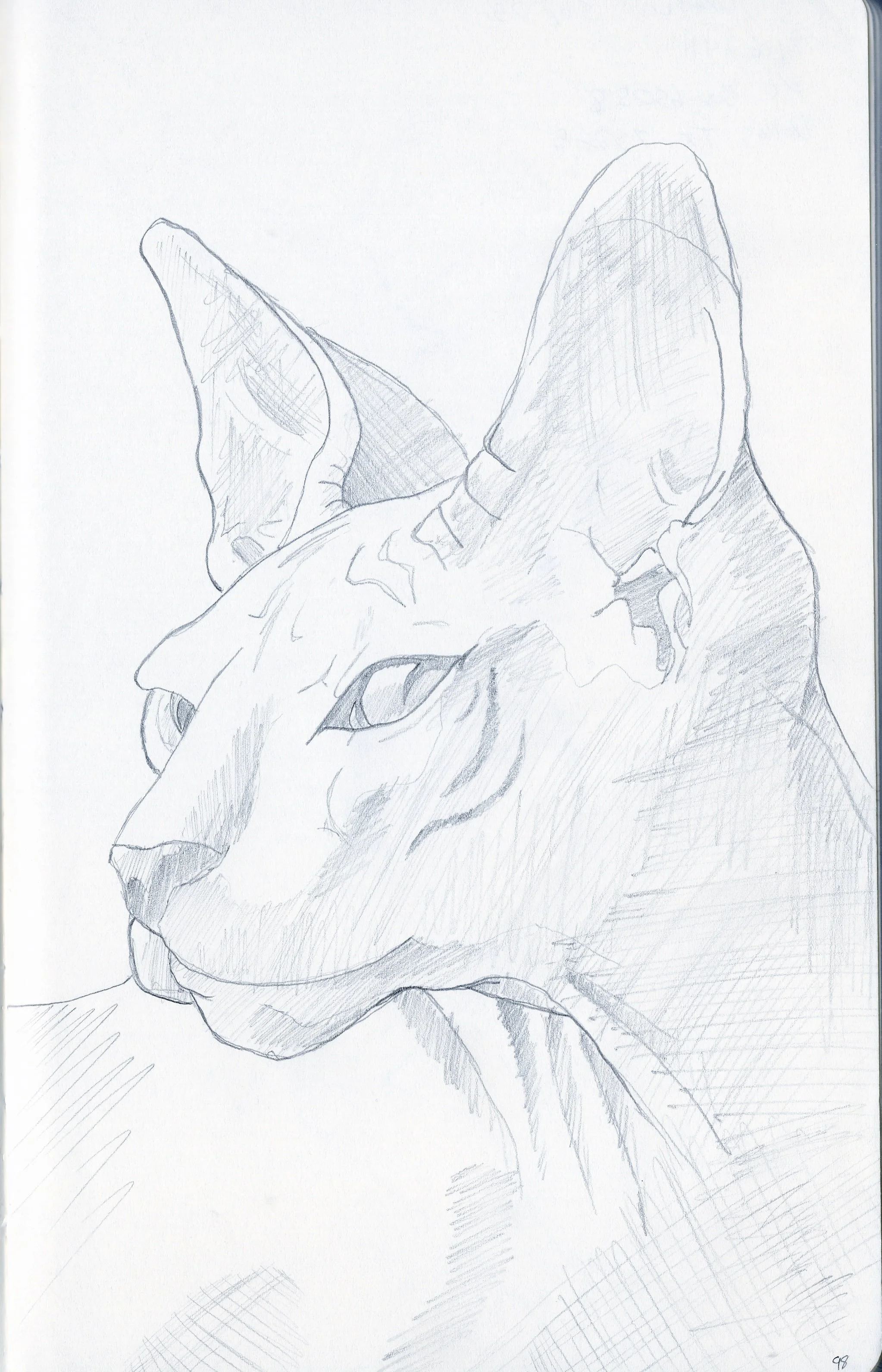 Sketchbook_1_0001_0026.jpeg