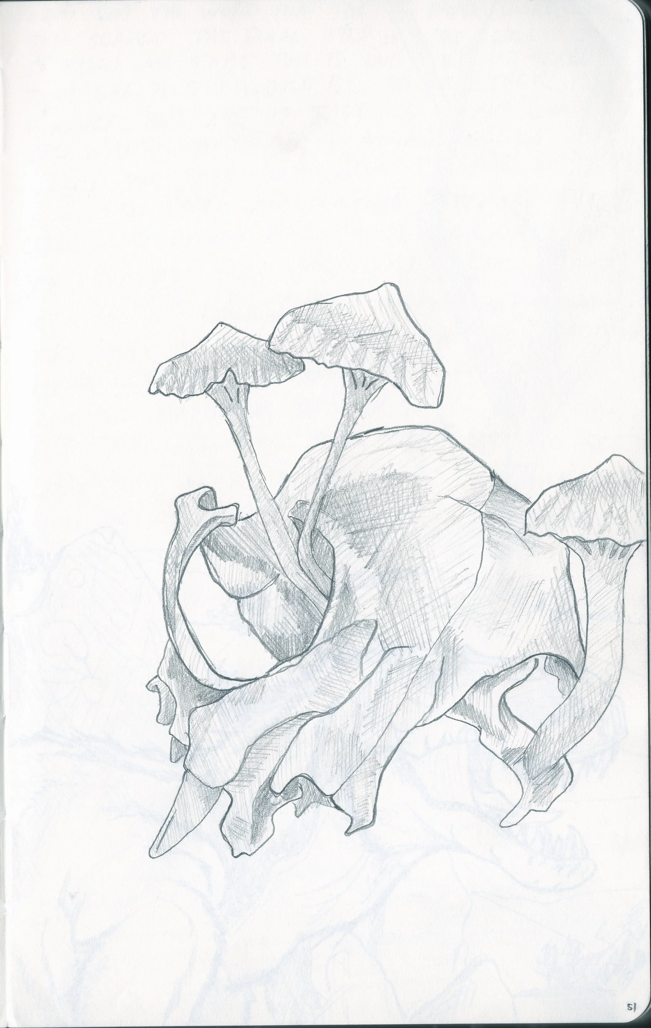 Sketchbook_1_0051.jpeg
