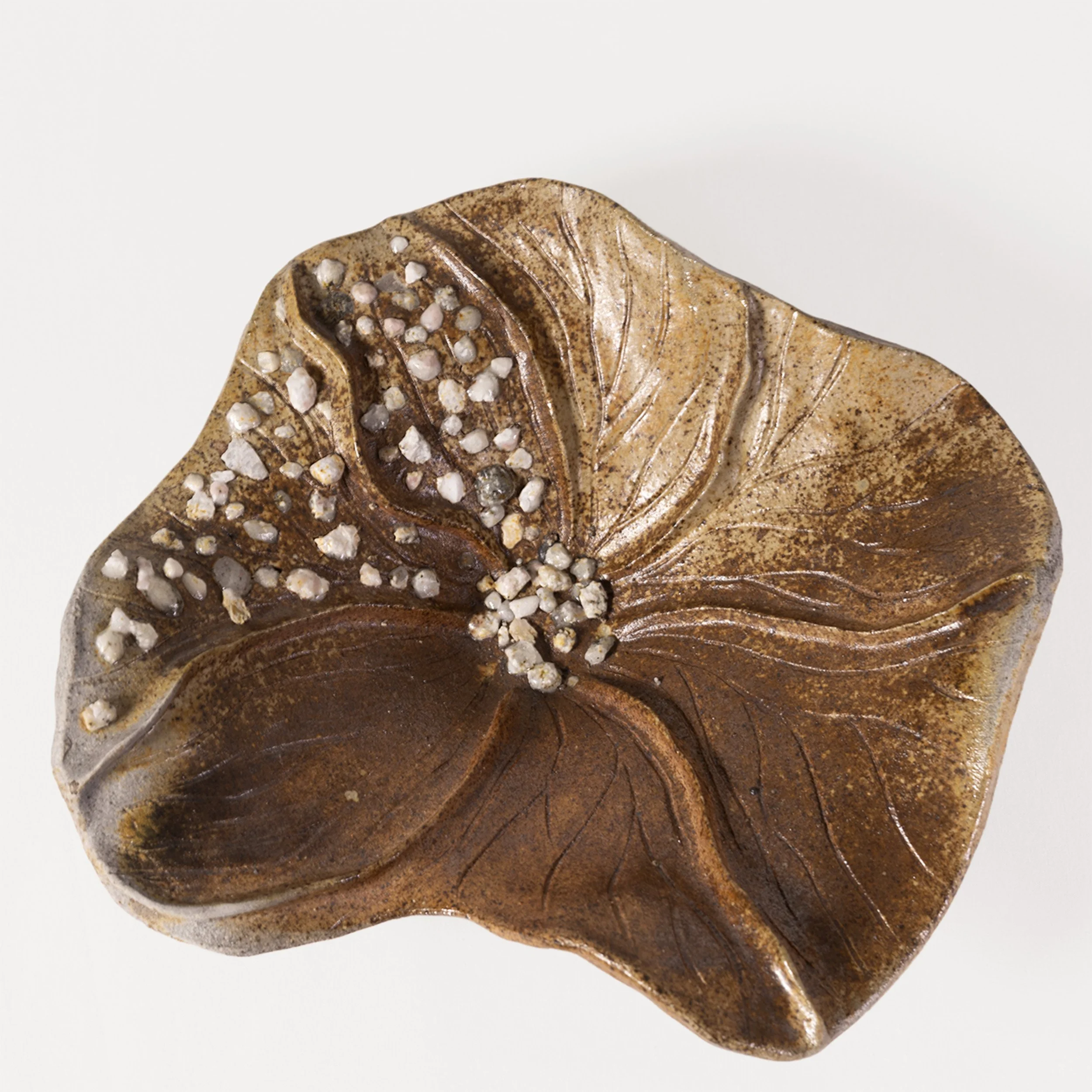 3.Ruskea kivillä.jpg