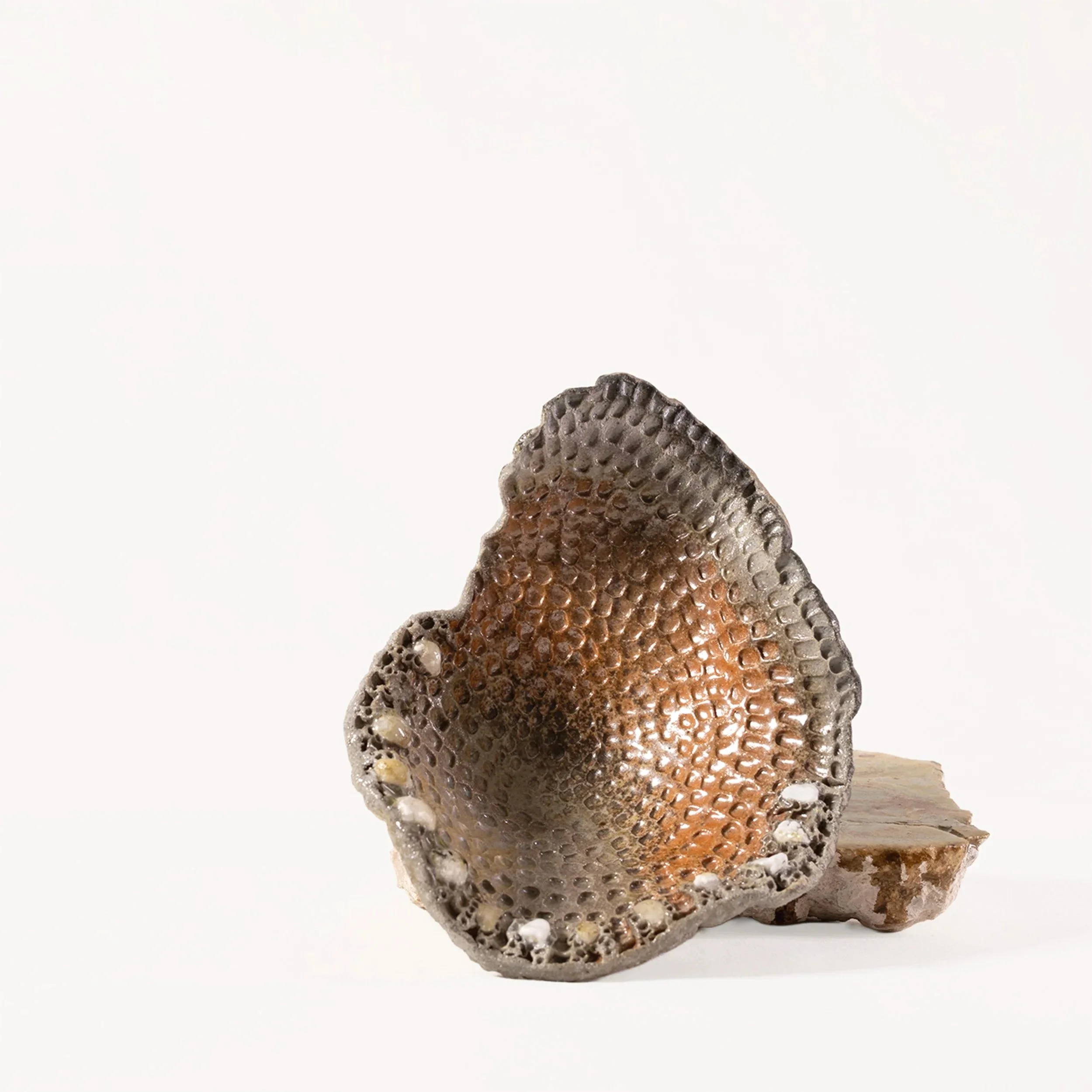 'Simpukka' uniikki puupoltettu kulho