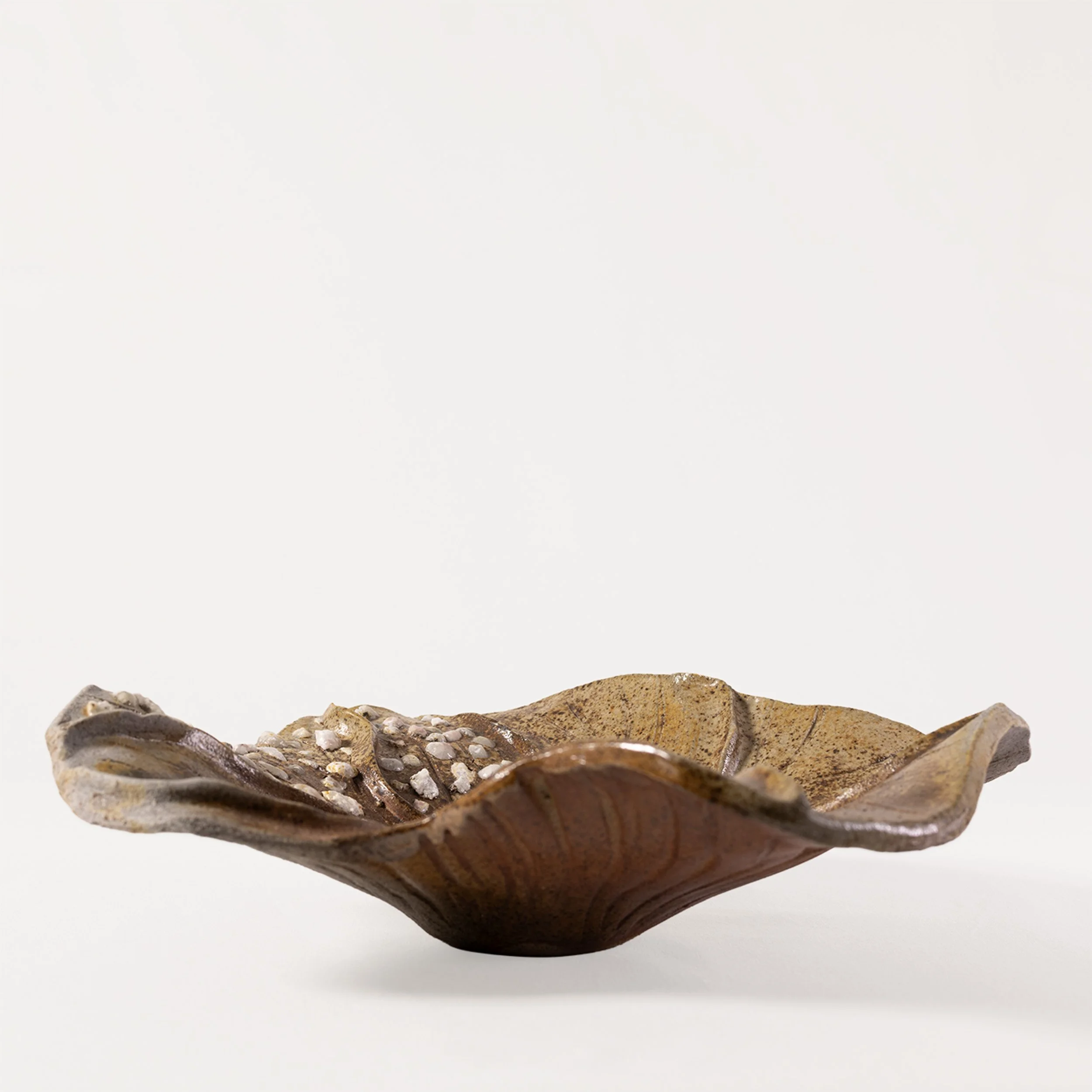 2.Ruskea kivillä.jpg