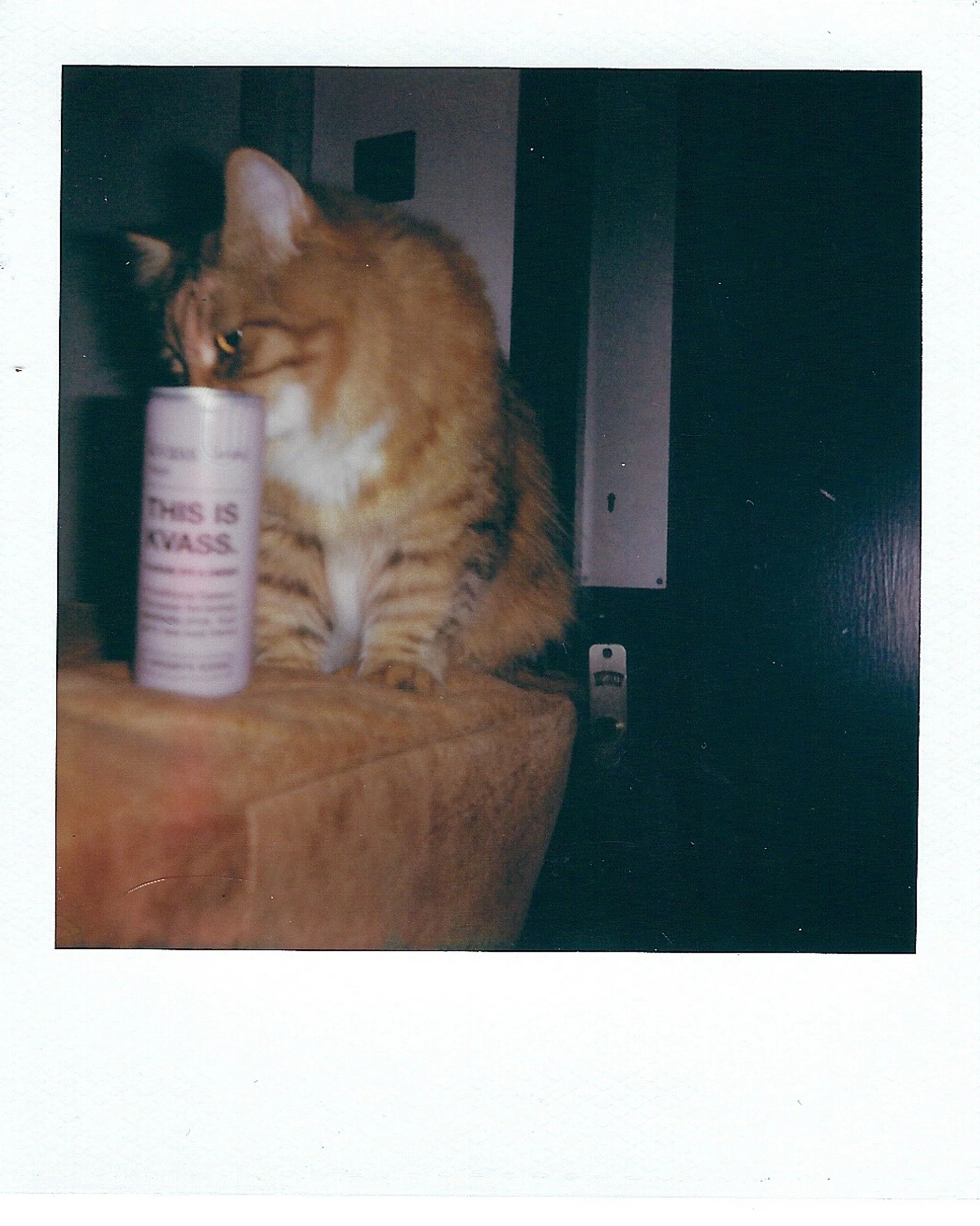 image00024.jpeg