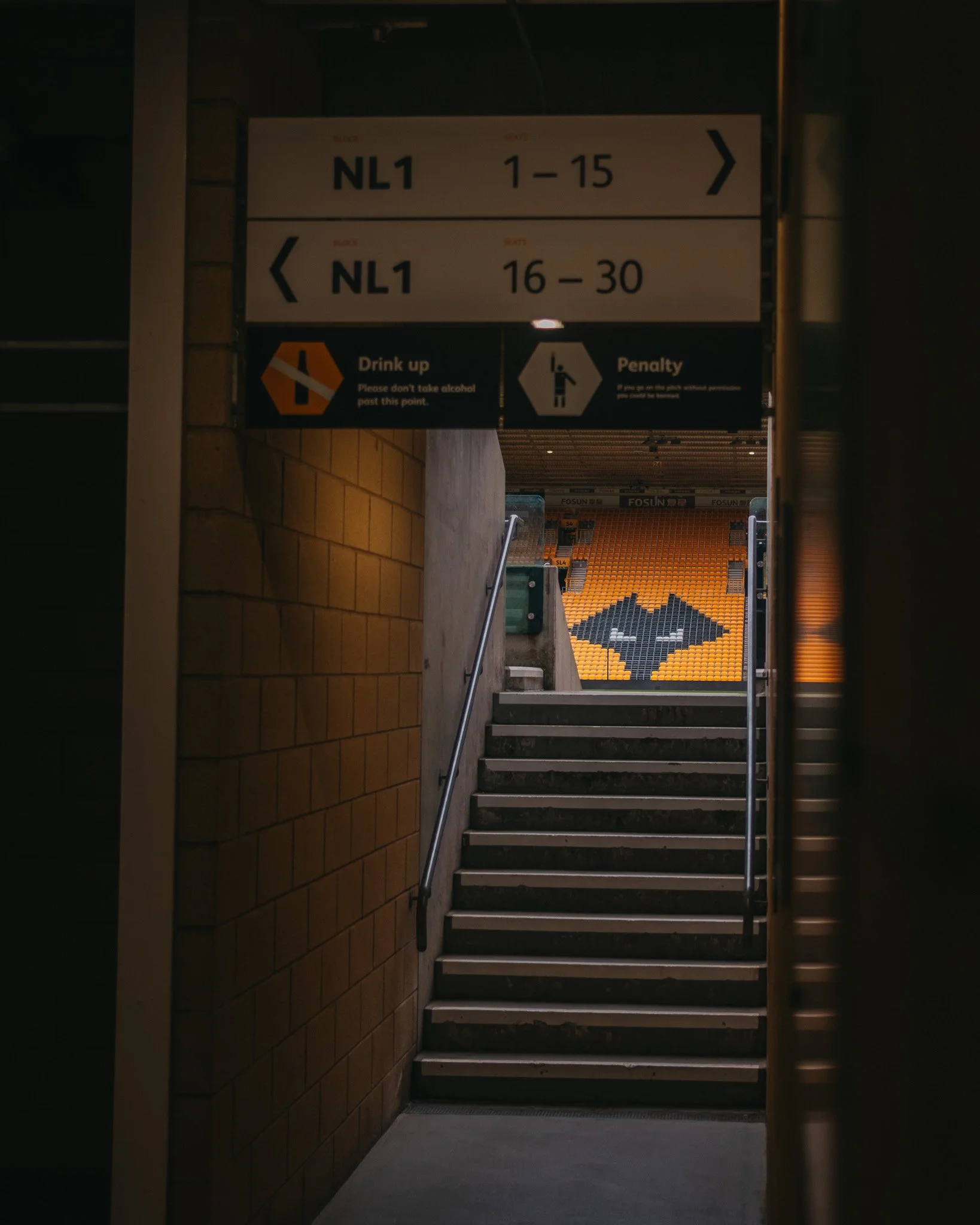THE MOLINEUX