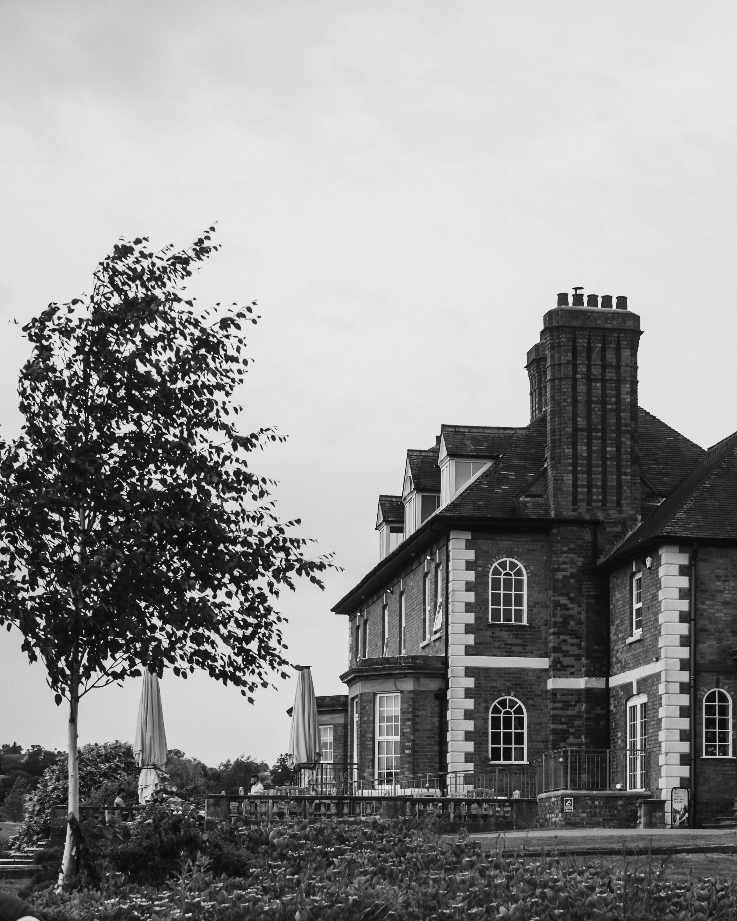 DSCF1065.jpg