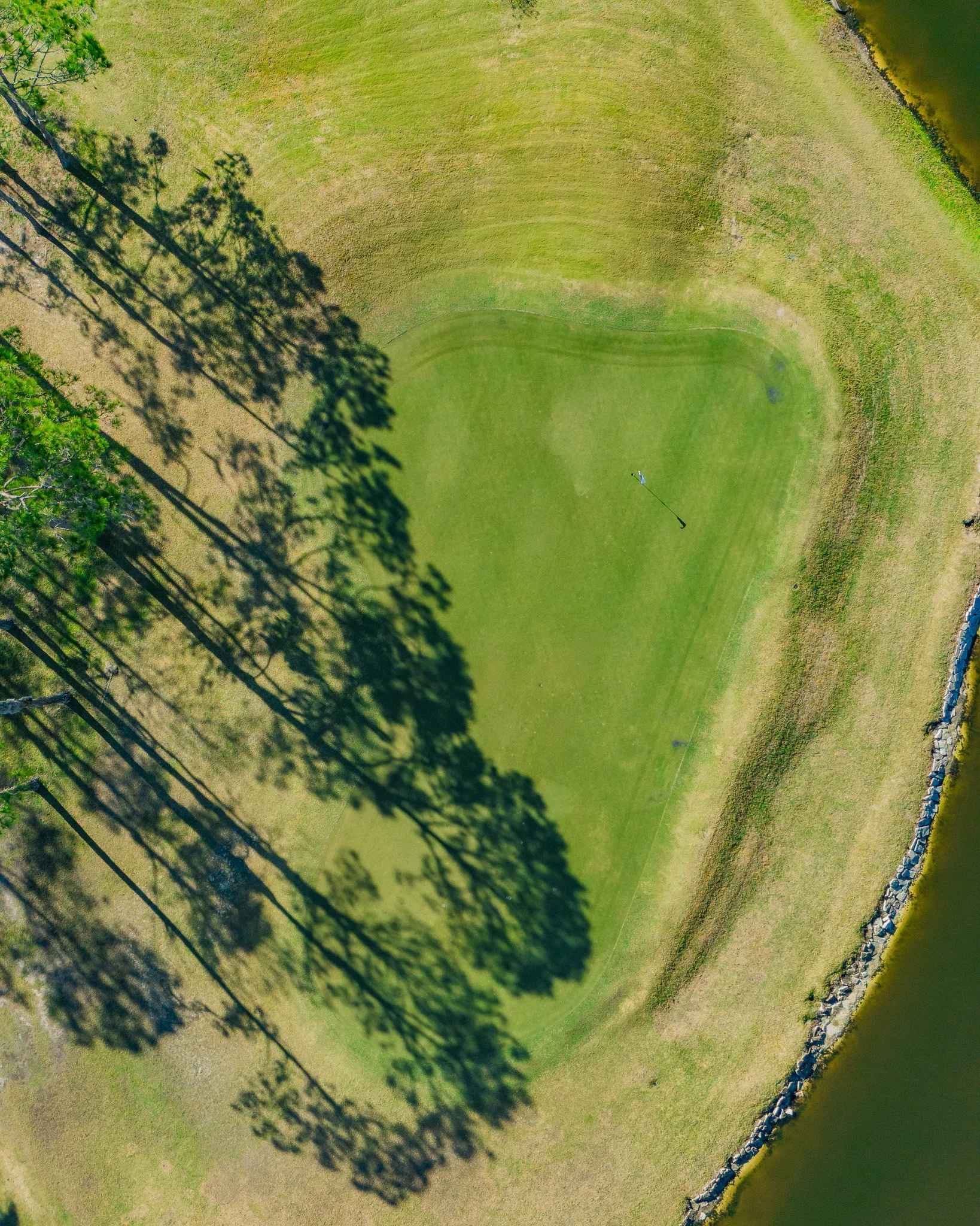 #7 Green-2.jpg