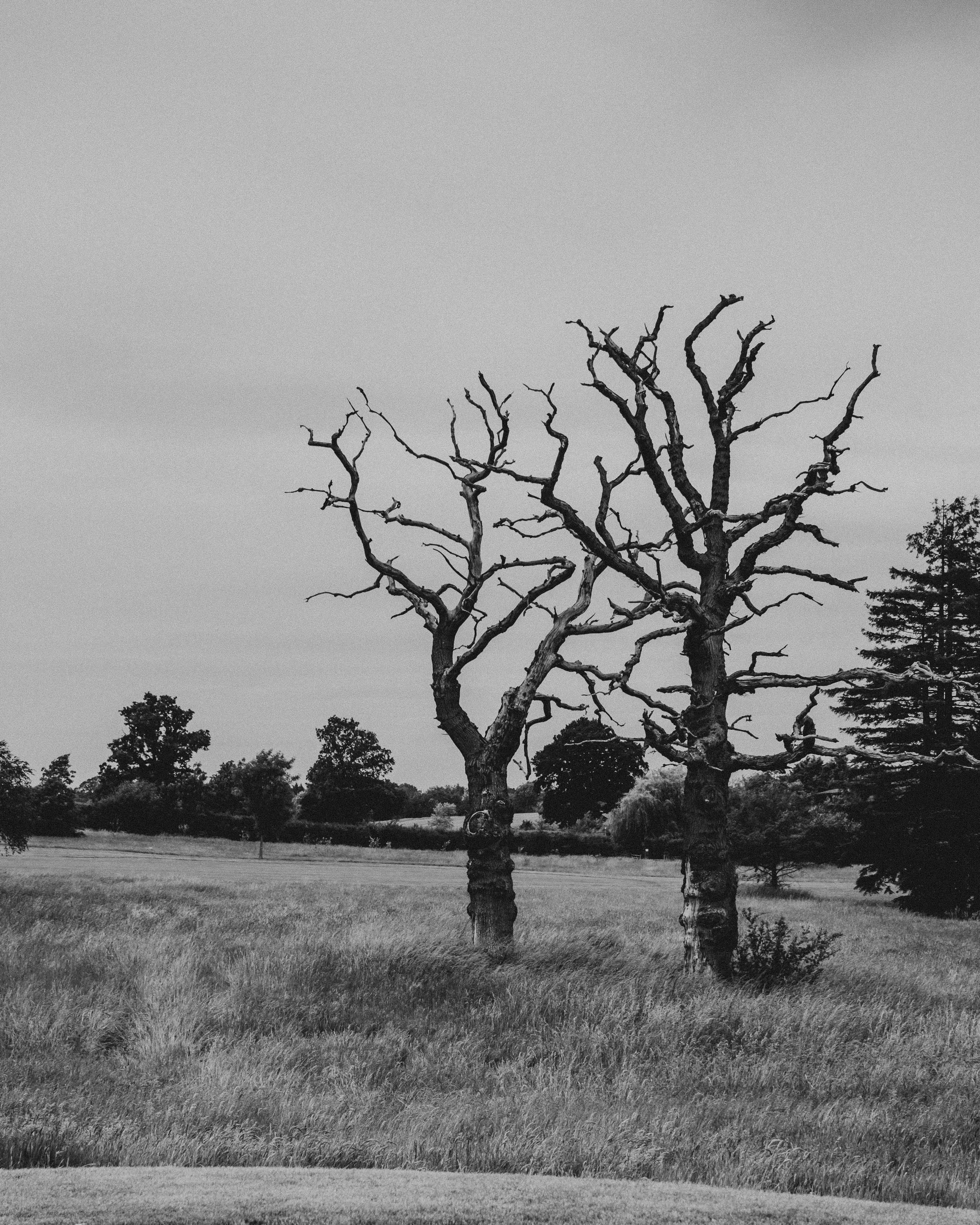 DSCF1061.jpg