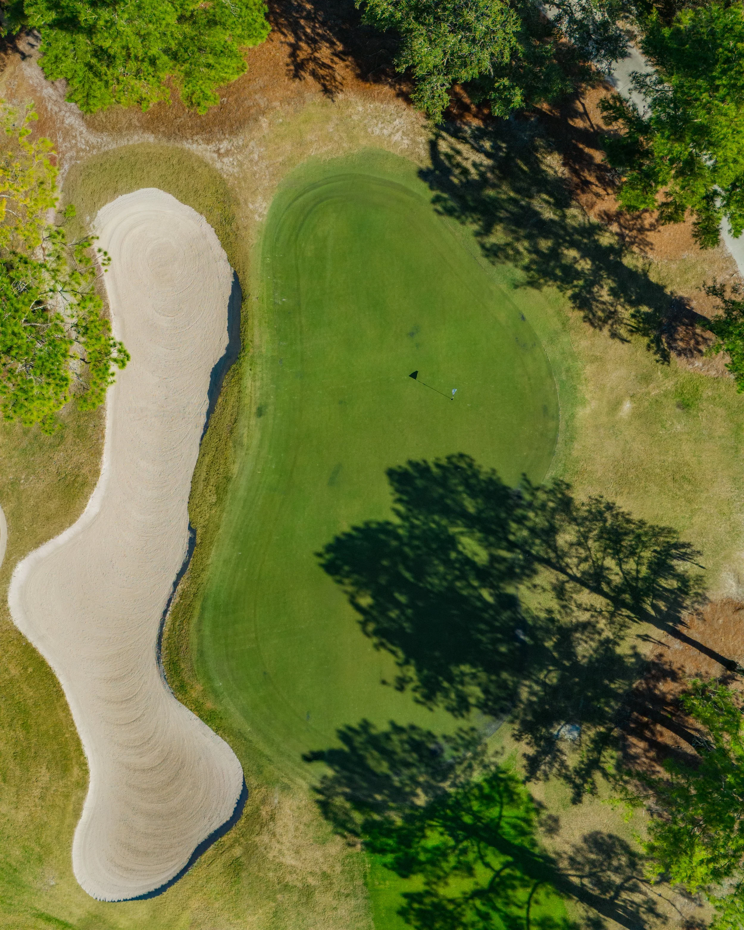 #15 Green.jpg