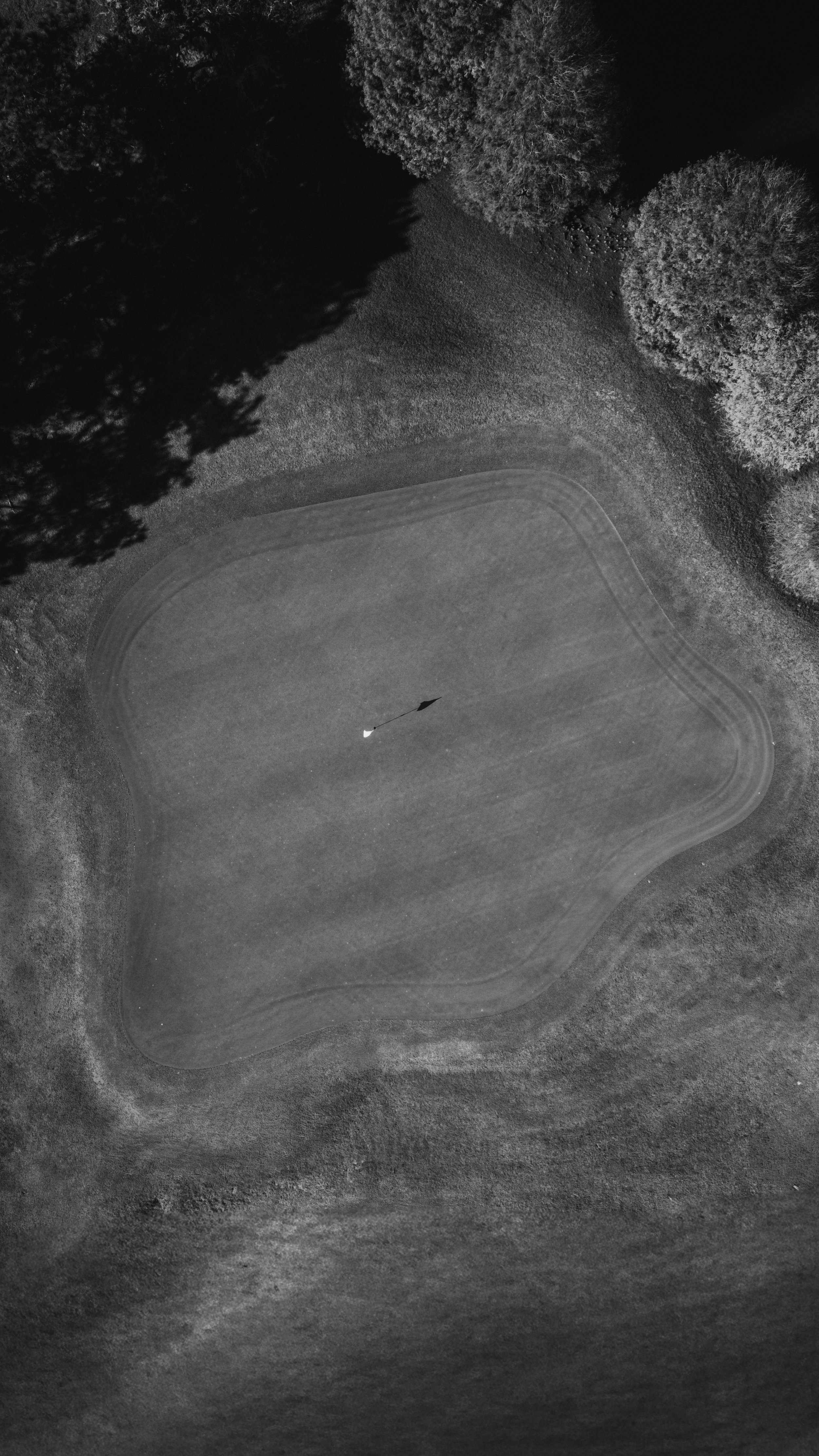 DJI_20251216135830_0003_D.jpg