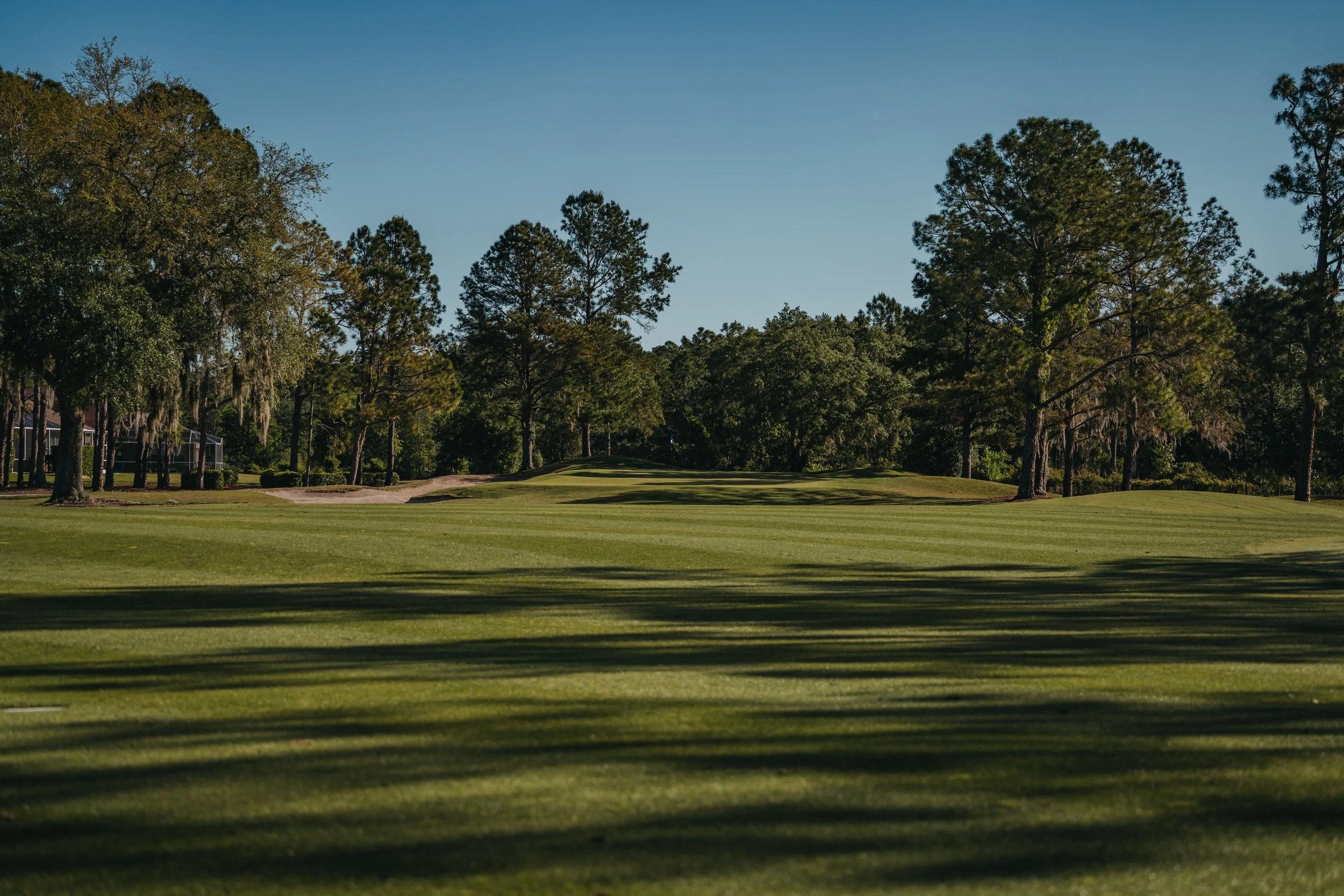 Plantation Palms 1 copy.jpg
